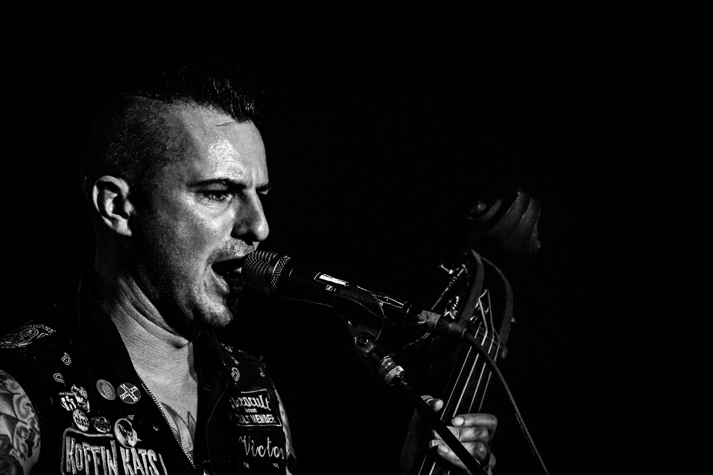 KoffinKats (17 of 23).jpg