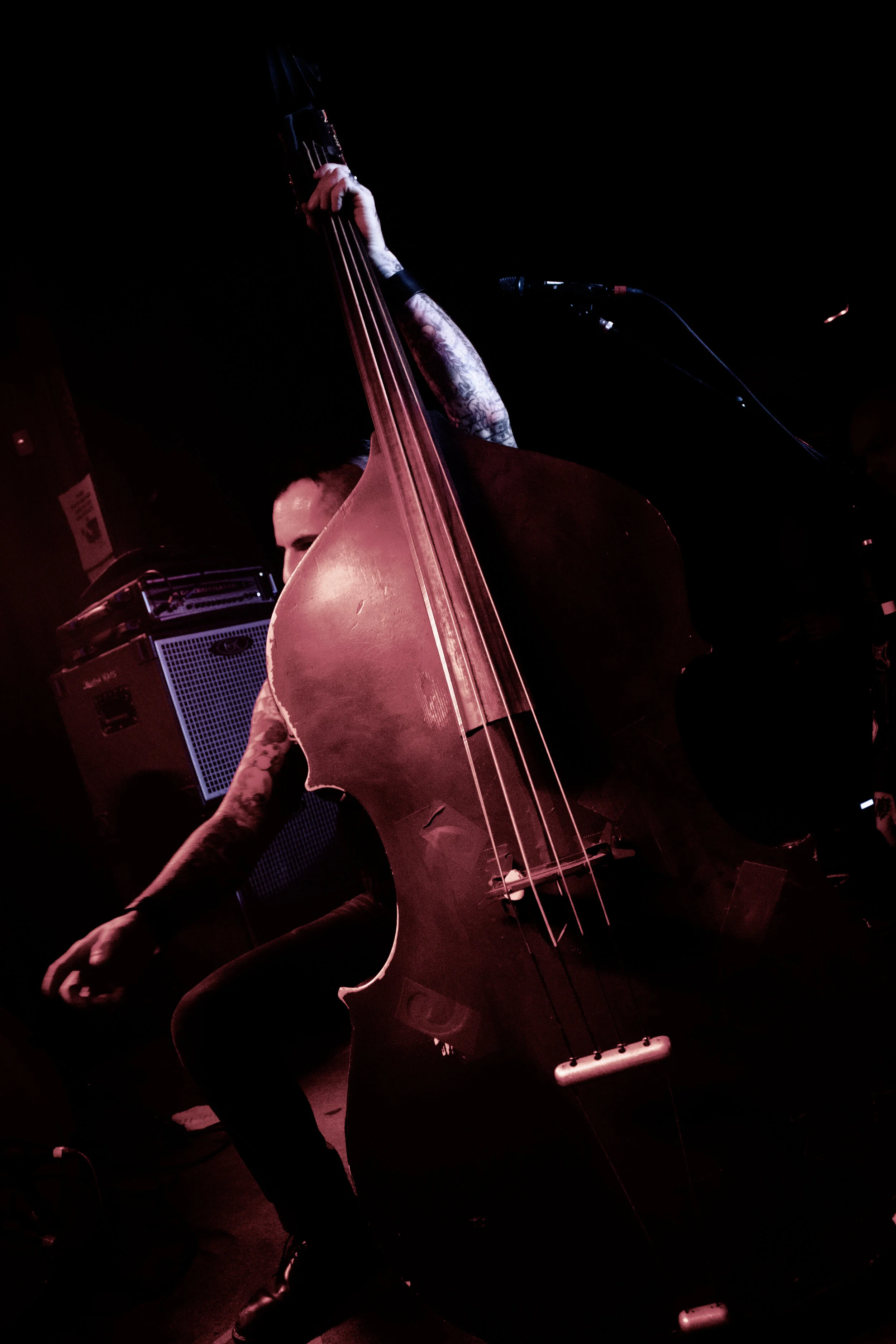 KoffinKats (18 of 23).jpg