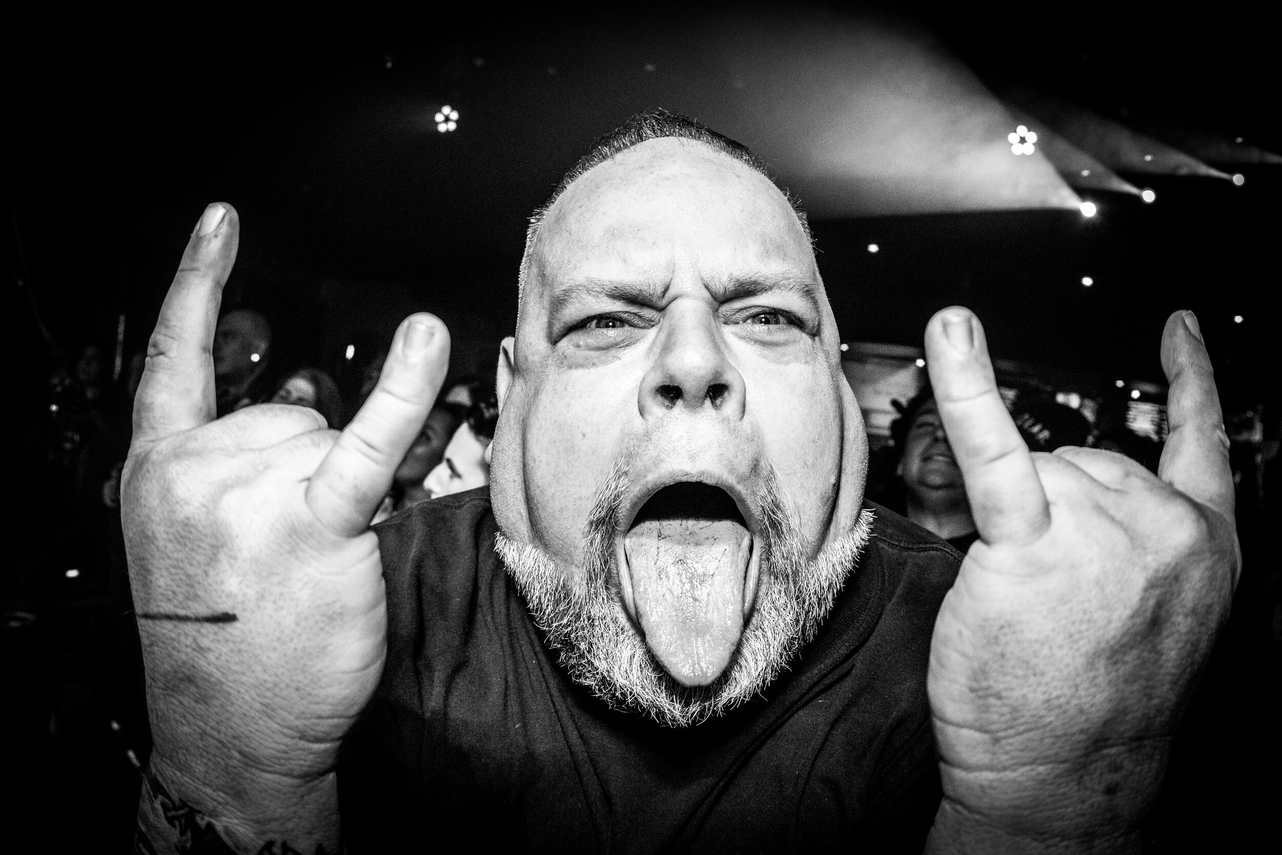 KoffinKats (20 of 23).jpg