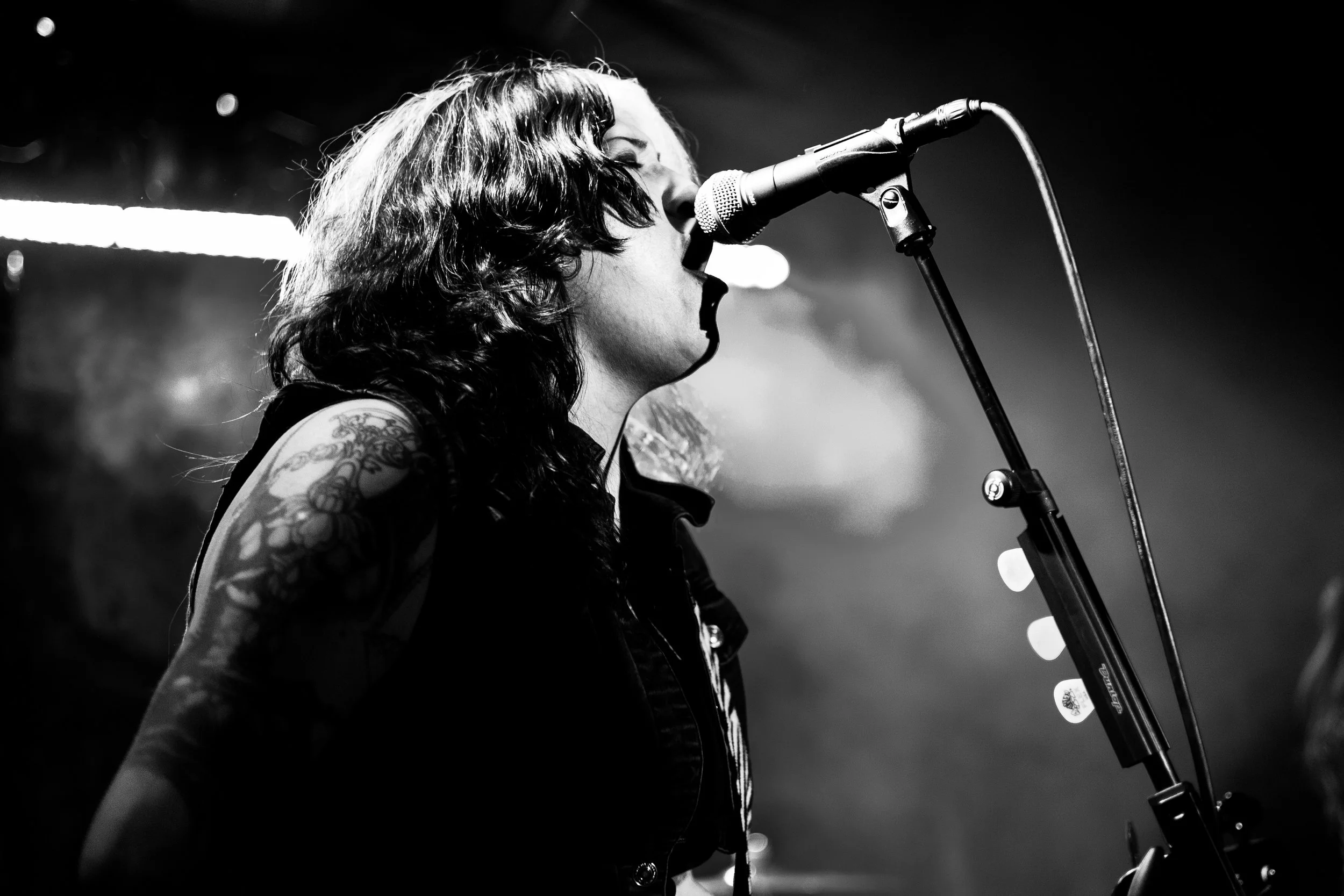 TheVenemousPinks (1 of 21).jpg