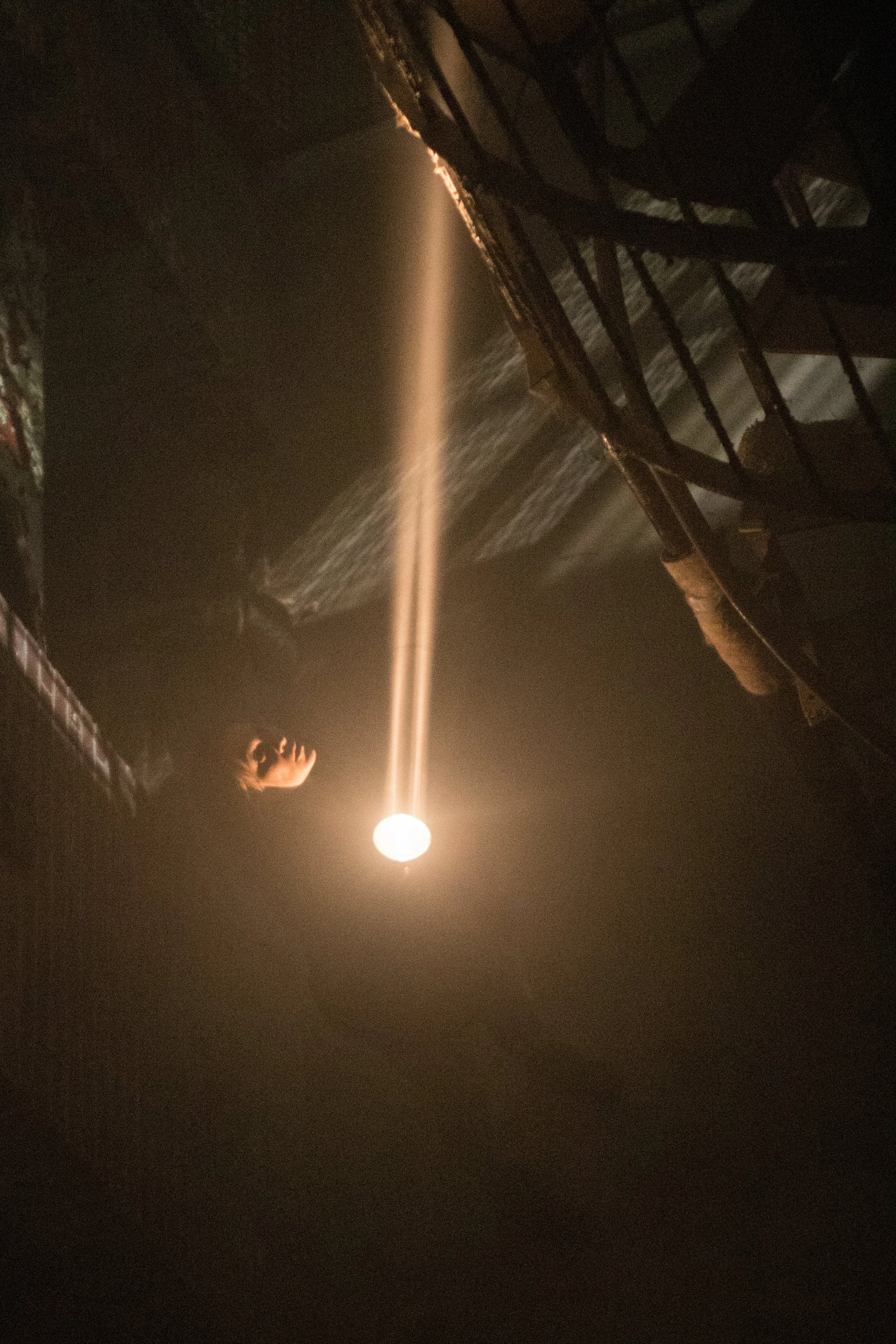 ShelbyOaksSTILLS (17 of 23).jpg