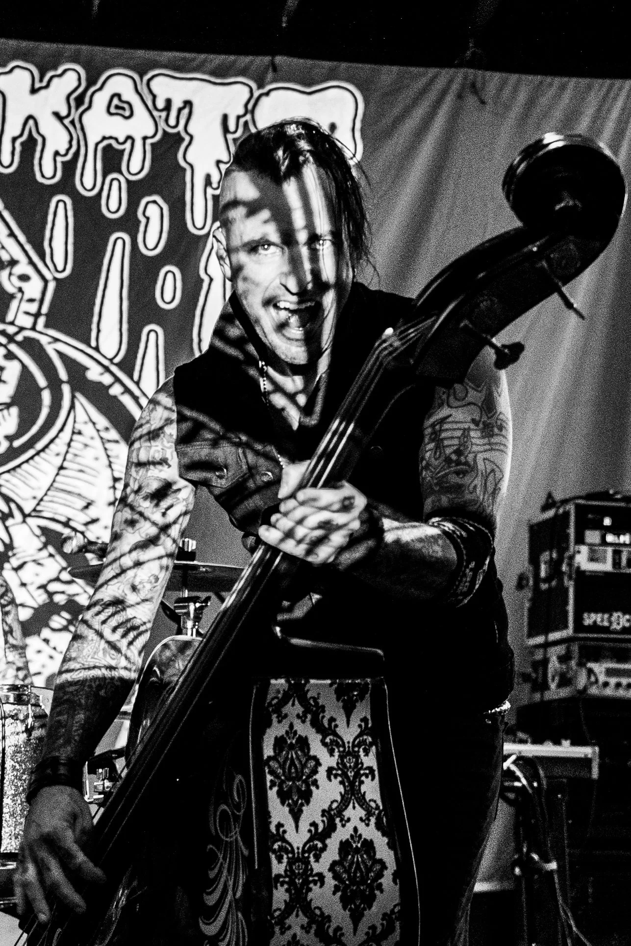 koffinkats (5 of 43).jpg