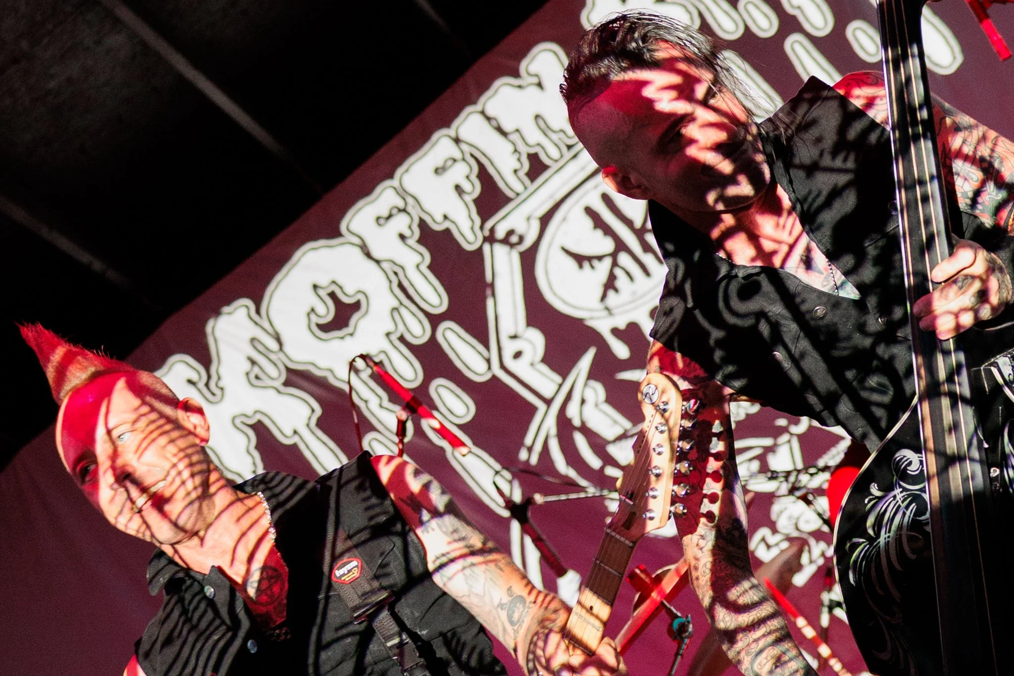 koffinkats (18 of 43).jpg