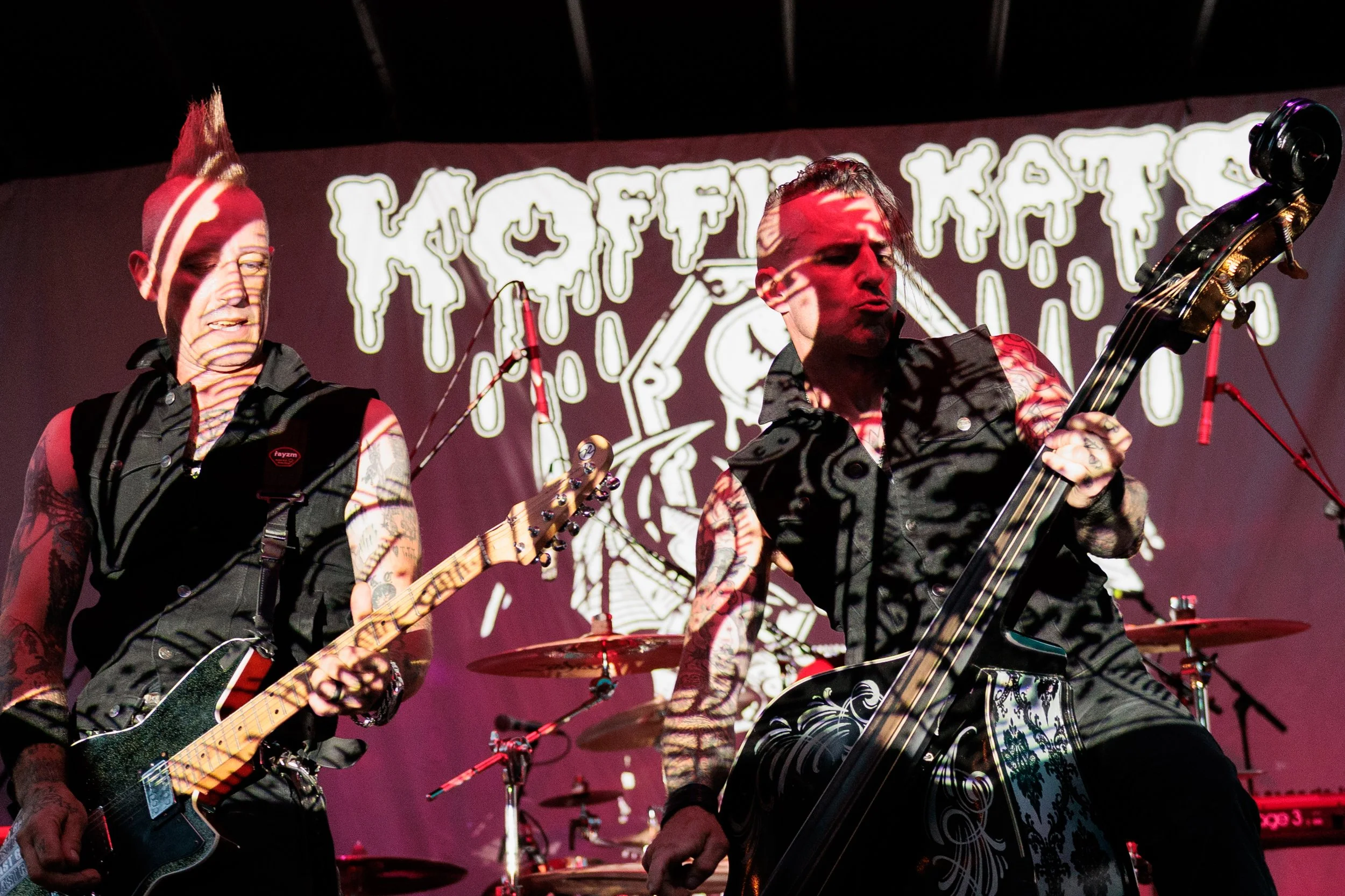 koffinkats (19 of 43).jpg