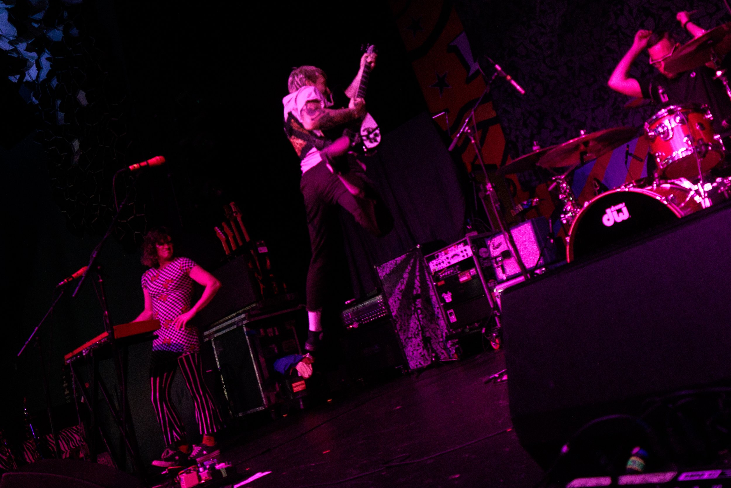 Catbite (1 of 30).jpg