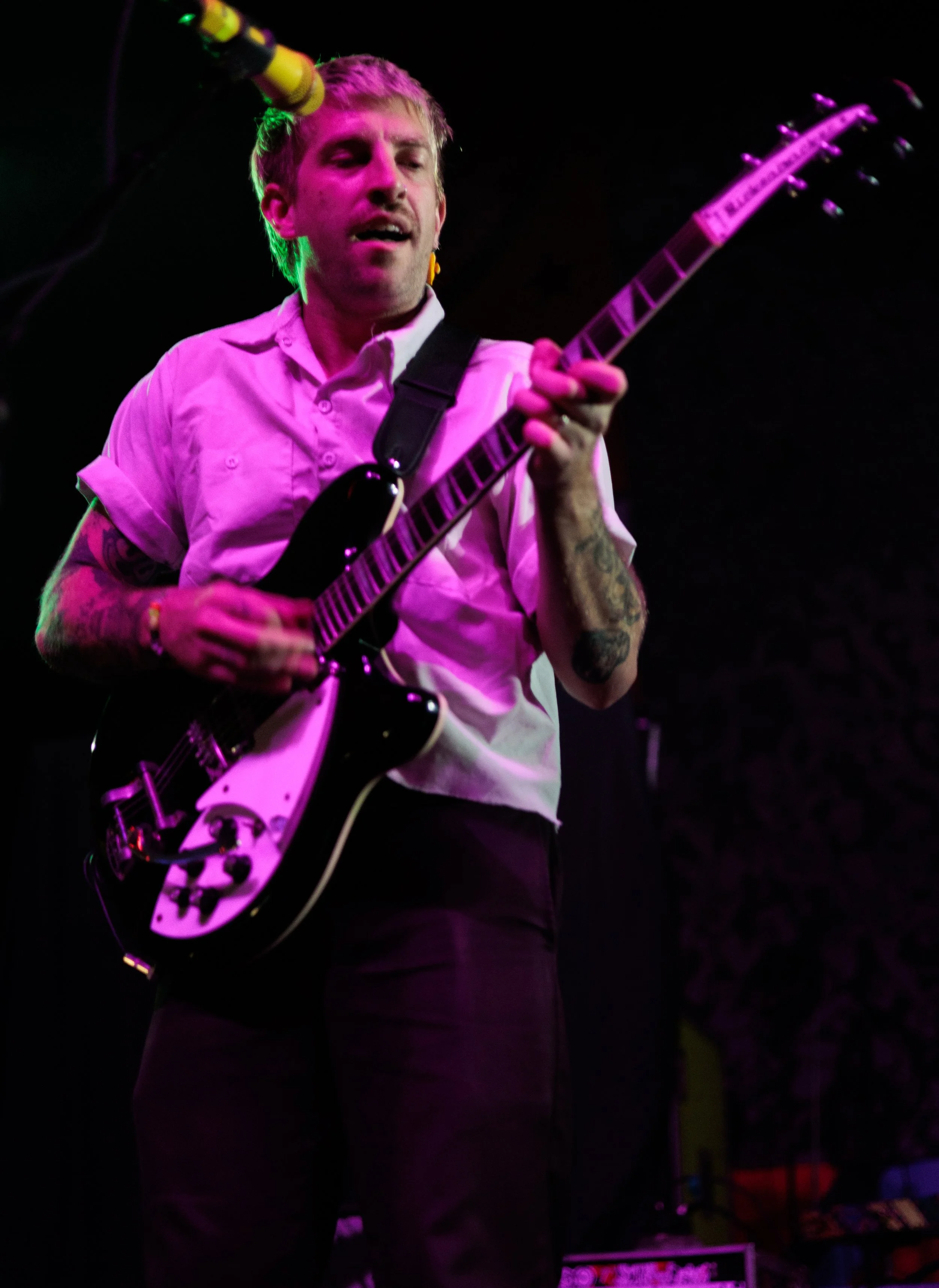 Catbite (12 of 30).jpg