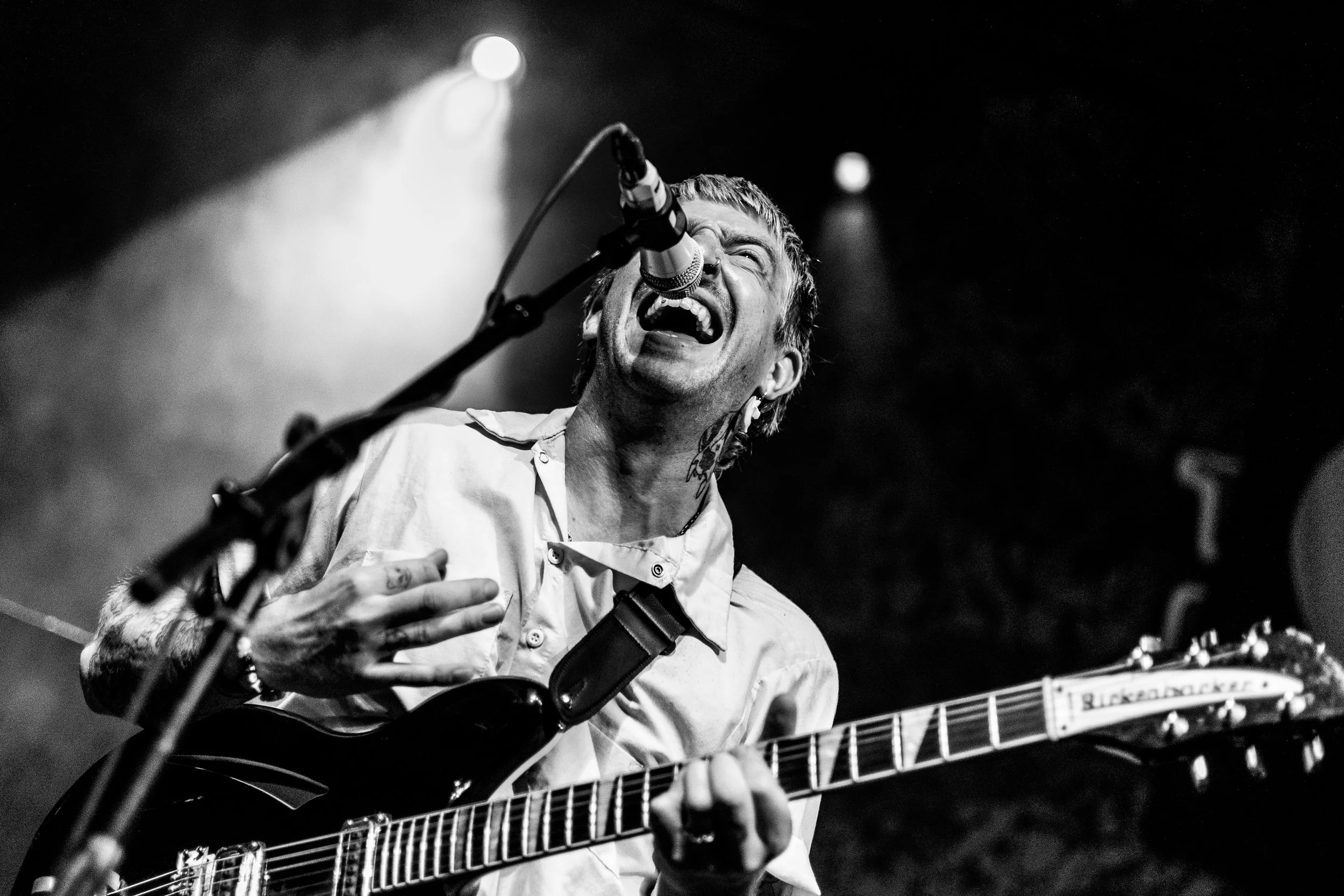 Catbite (20 of 30).jpg