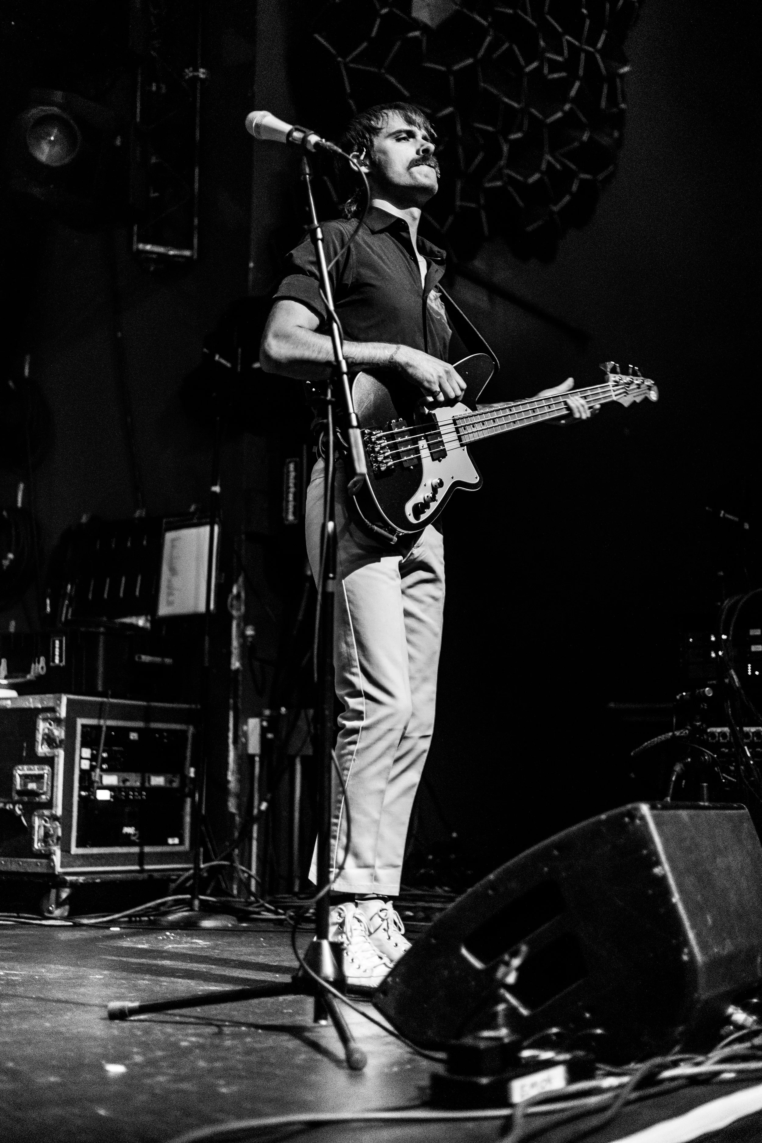 Catbite (21 of 30).jpg