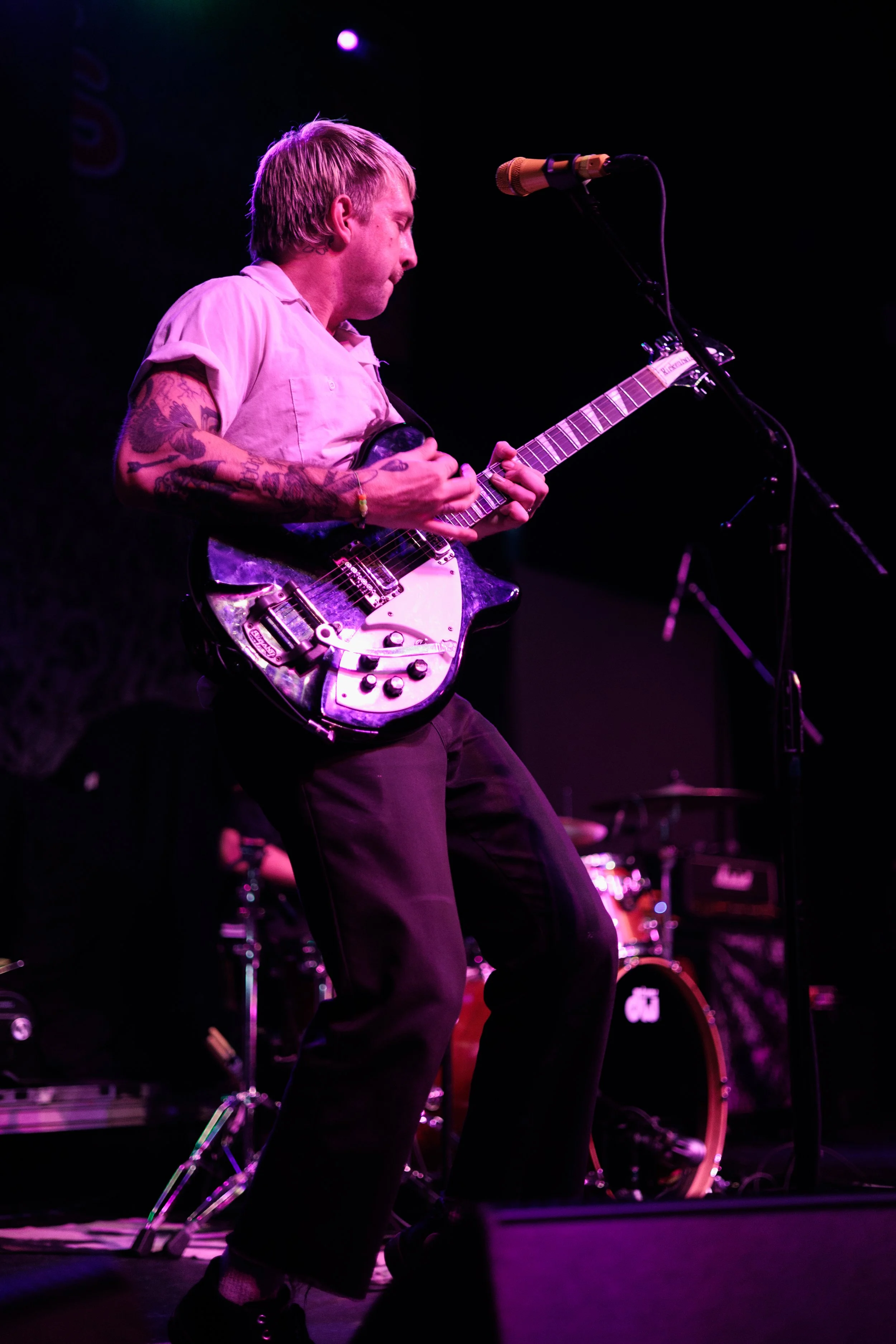 Catbite (23 of 30).jpg