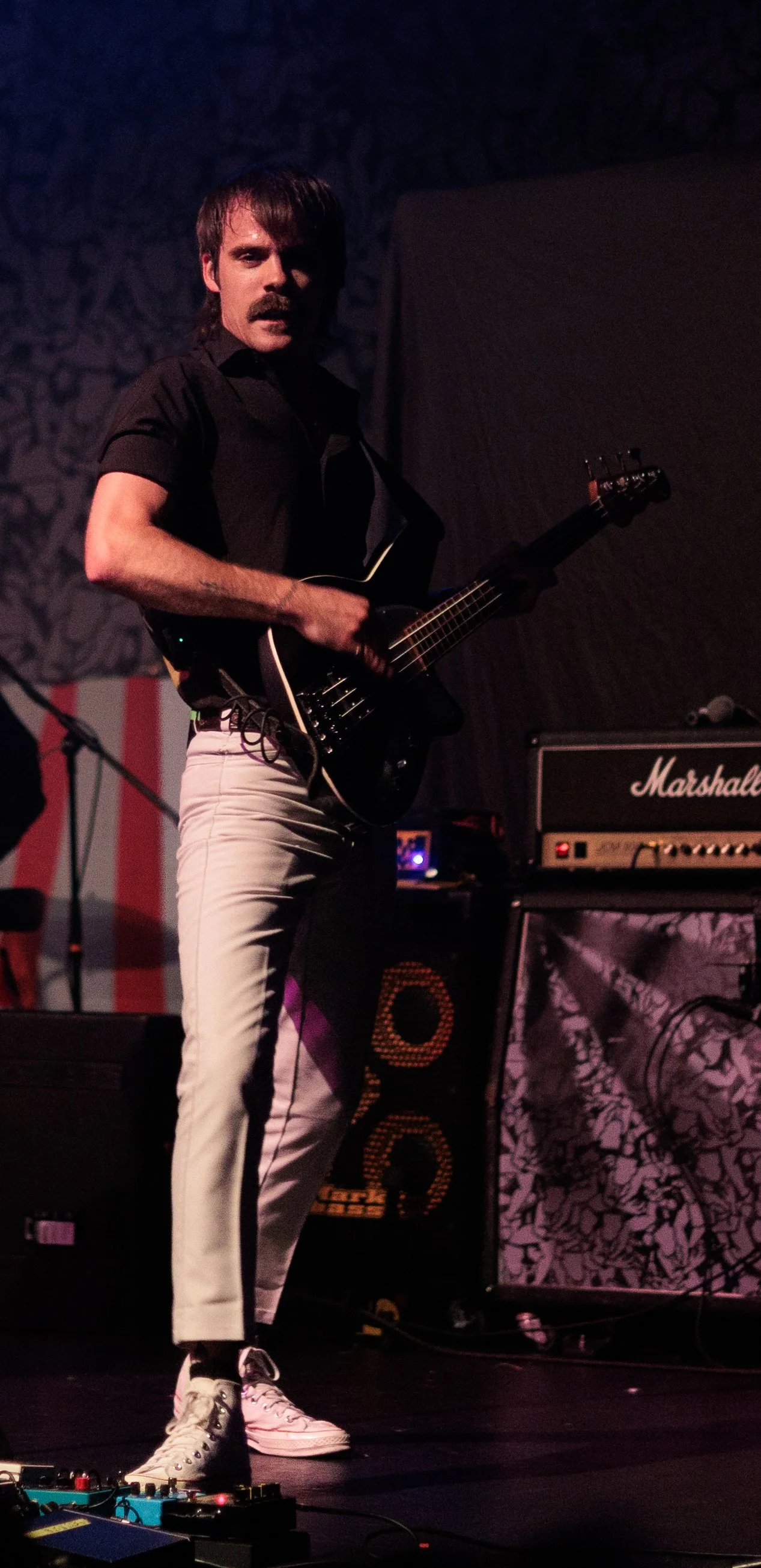 Catbite (30 of 30).jpg