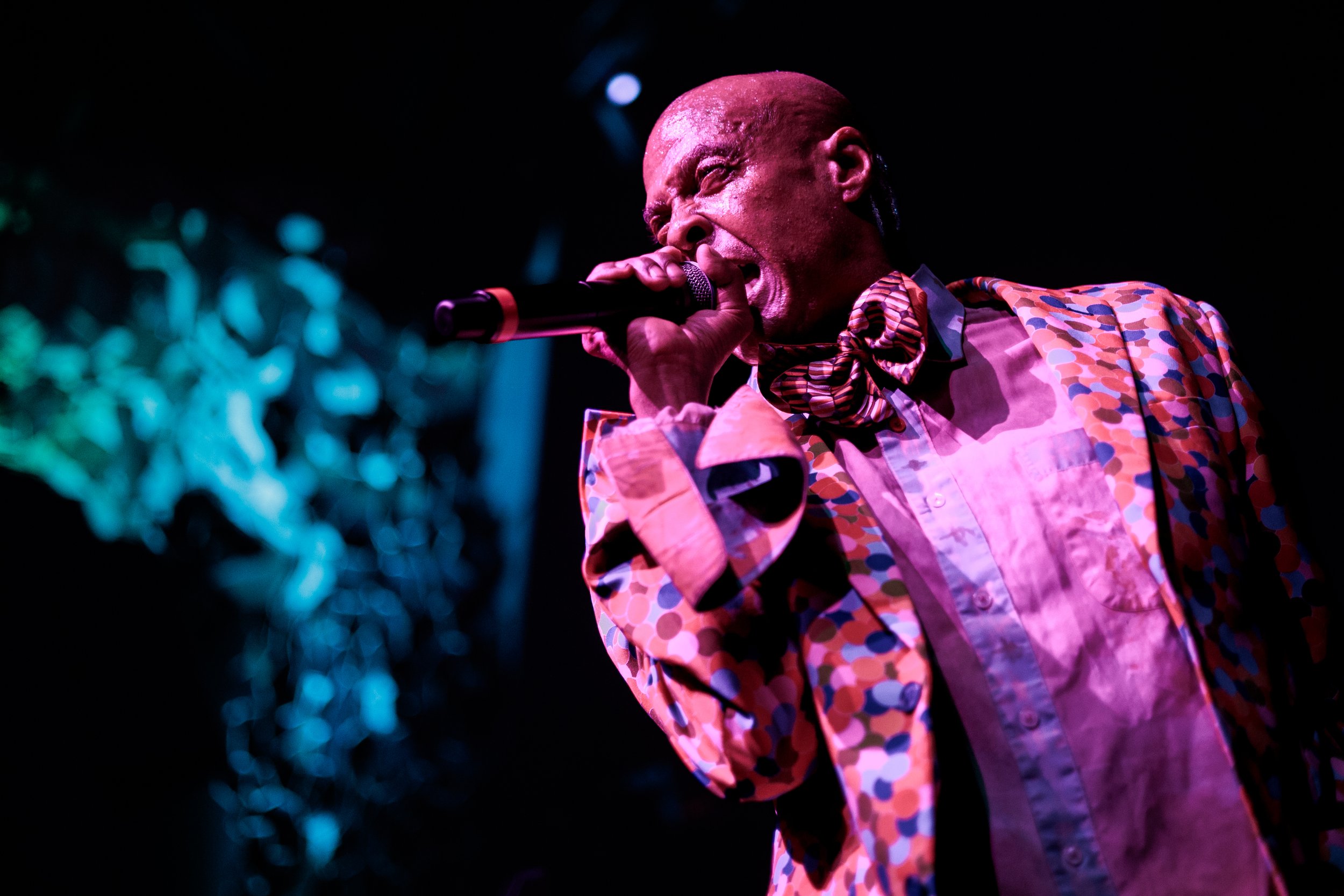 fishbone (31 of 47).jpg