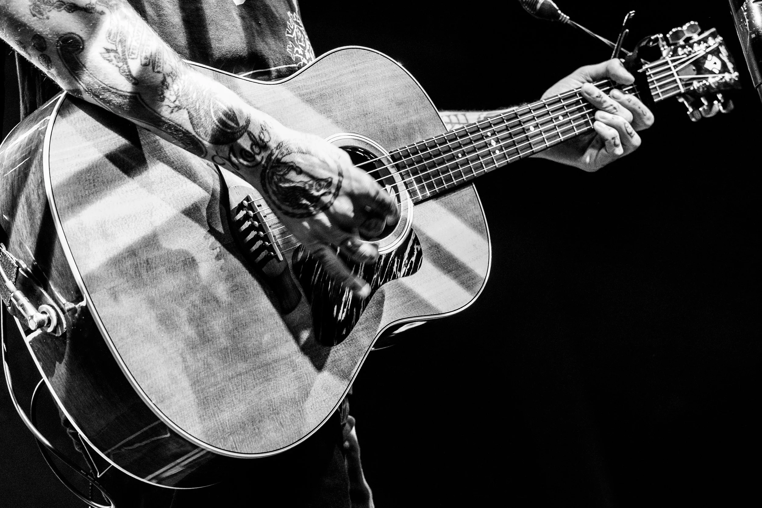 Frank Turner