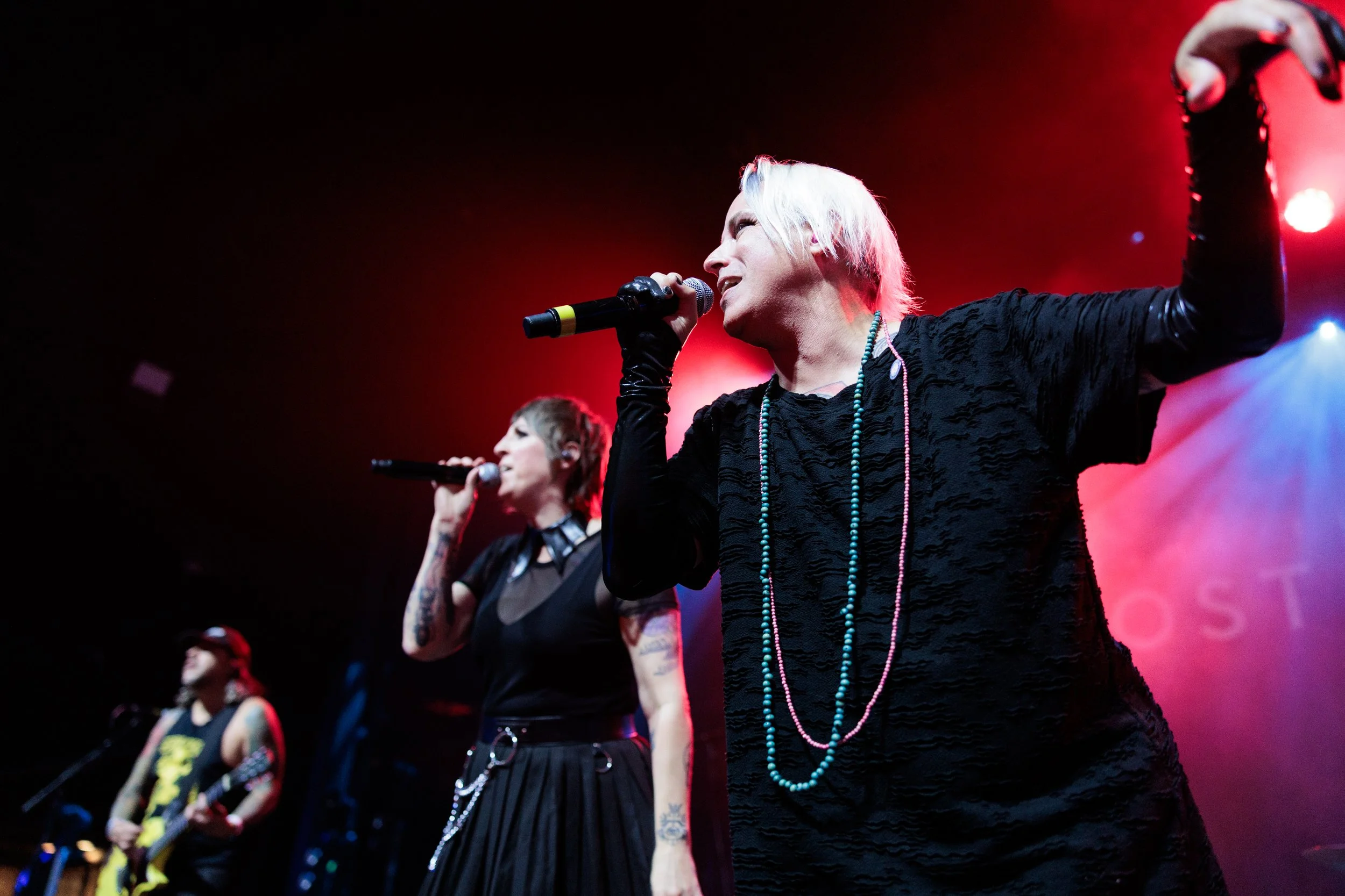 The Iron Roses