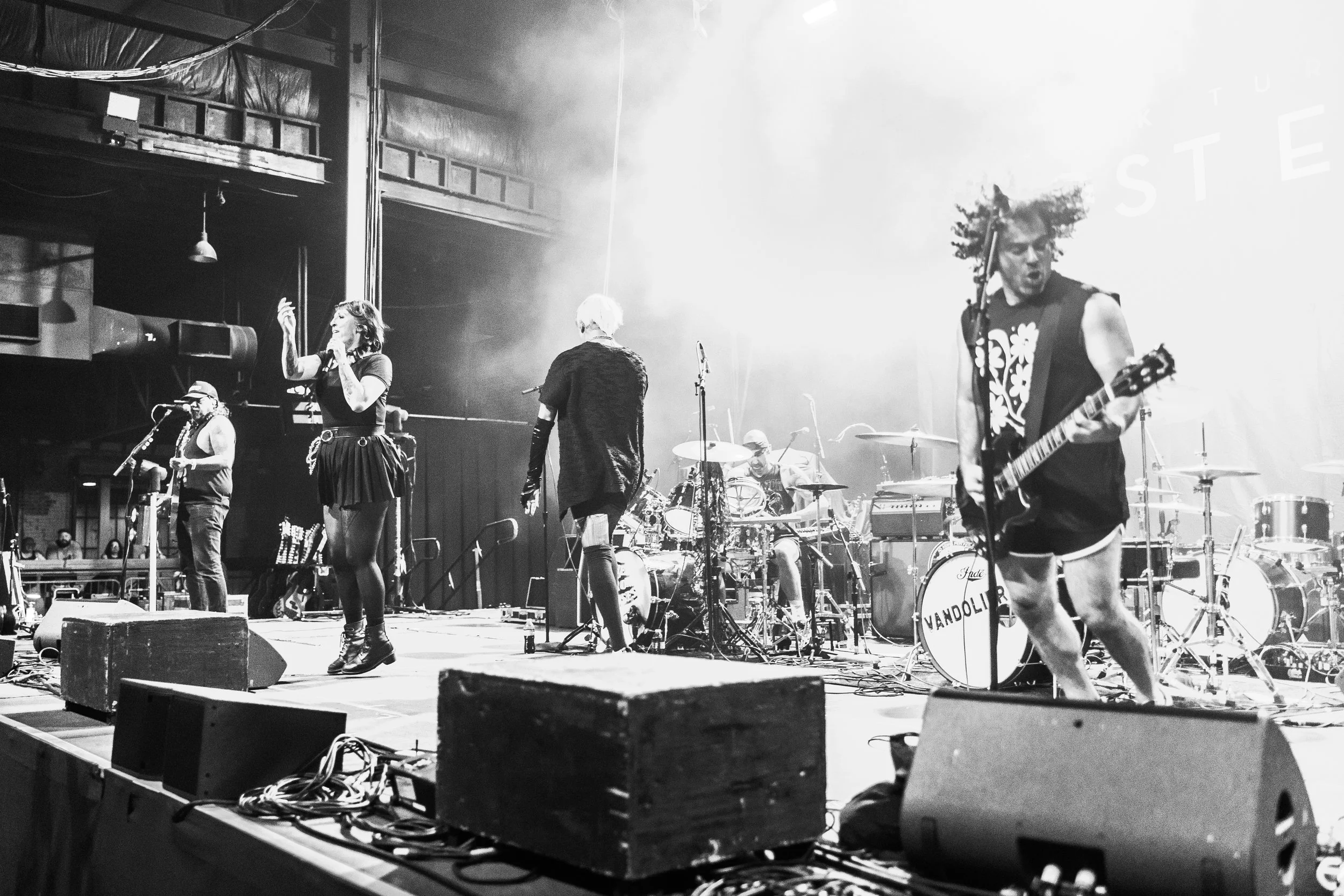 The Iron Roses