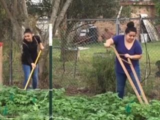 rgv food bank 2.jpg