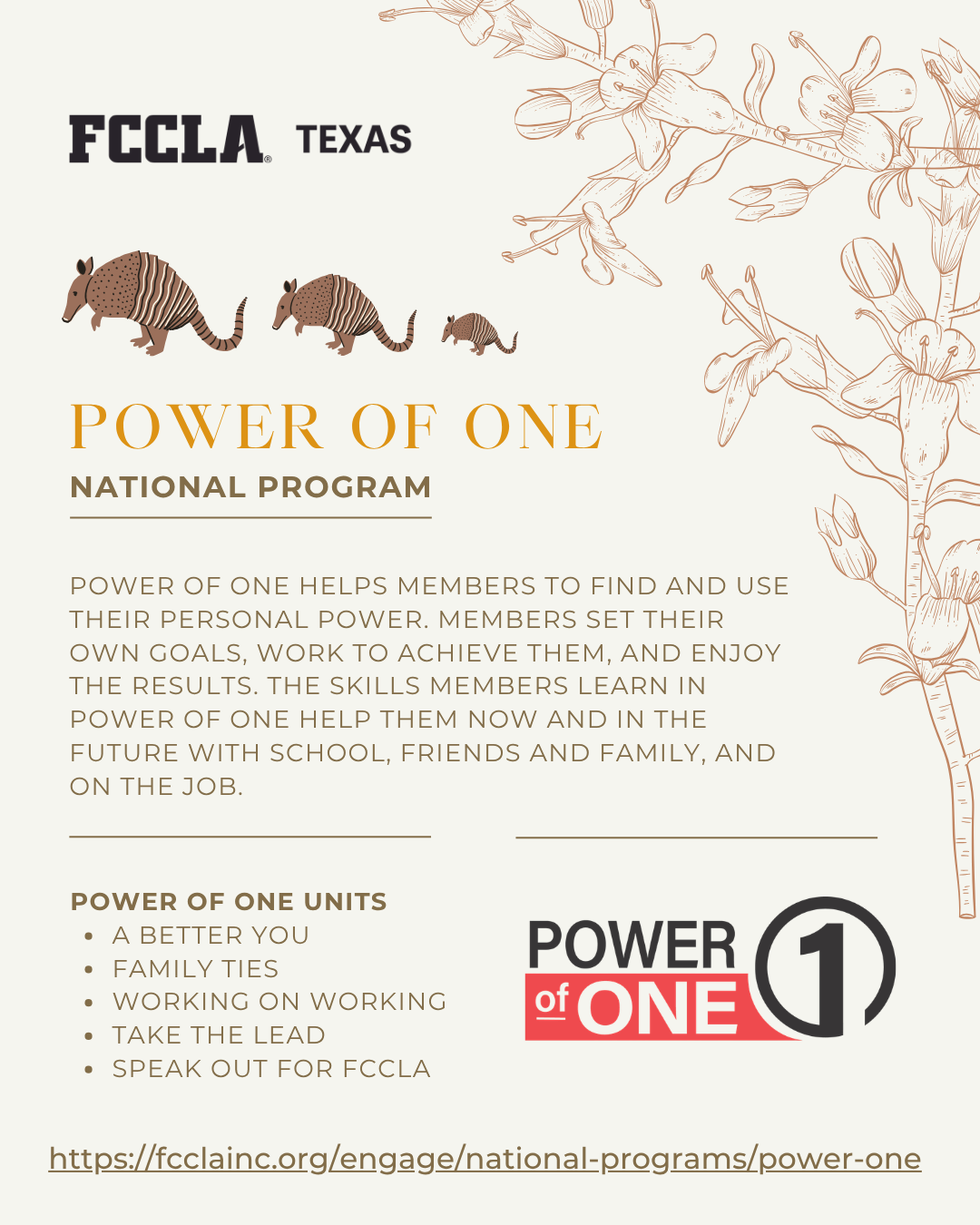 Power of One National Program Graphic.png