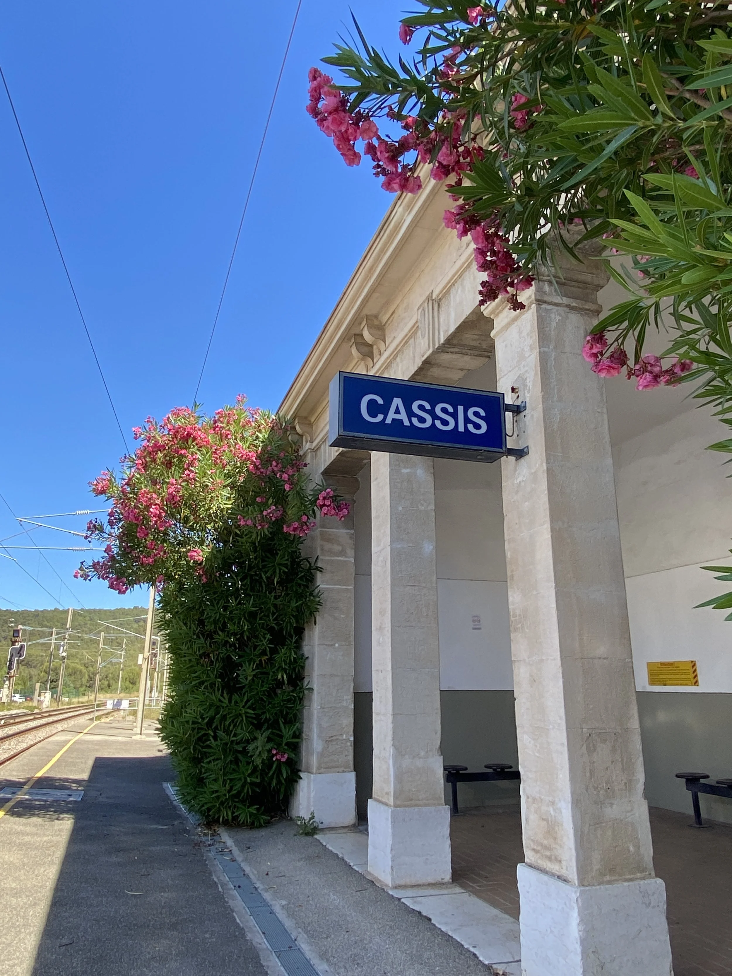 Cassis: South France Vacance! How to be efficient and take the best boat tour to visit Calanques in Cassis! 