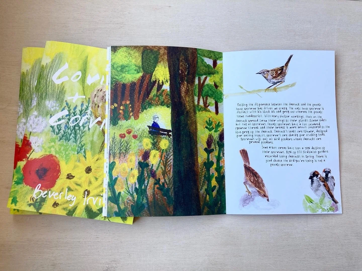 man on bench and sparrows.jpeg