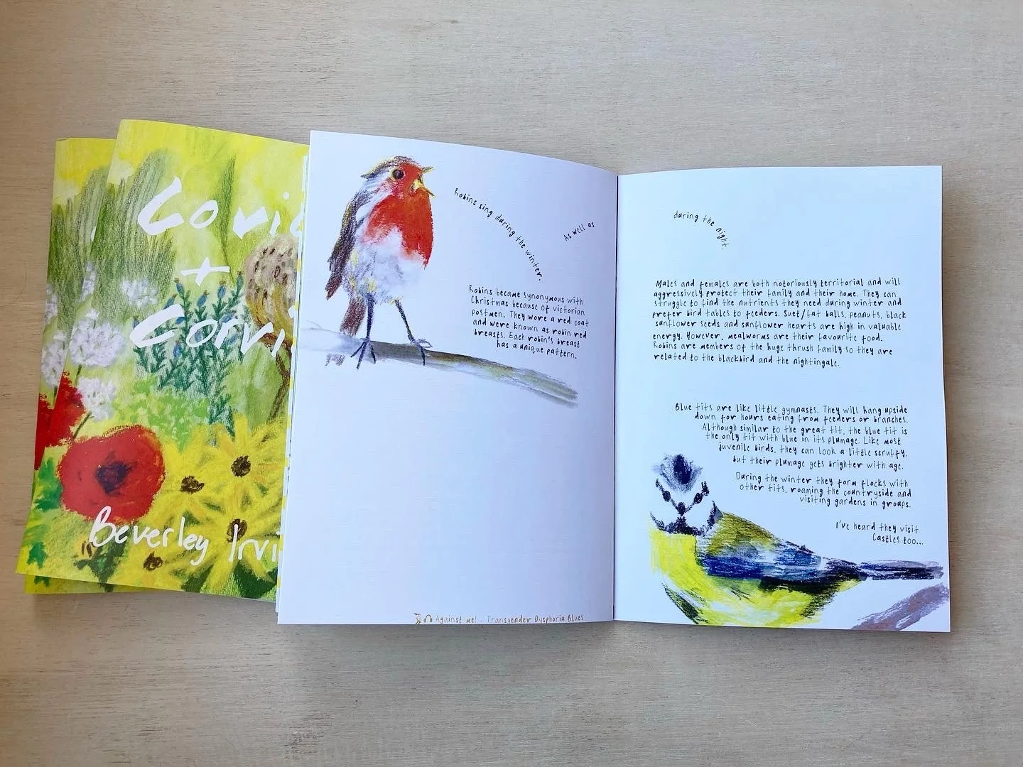 robin ad blue tit.jpeg