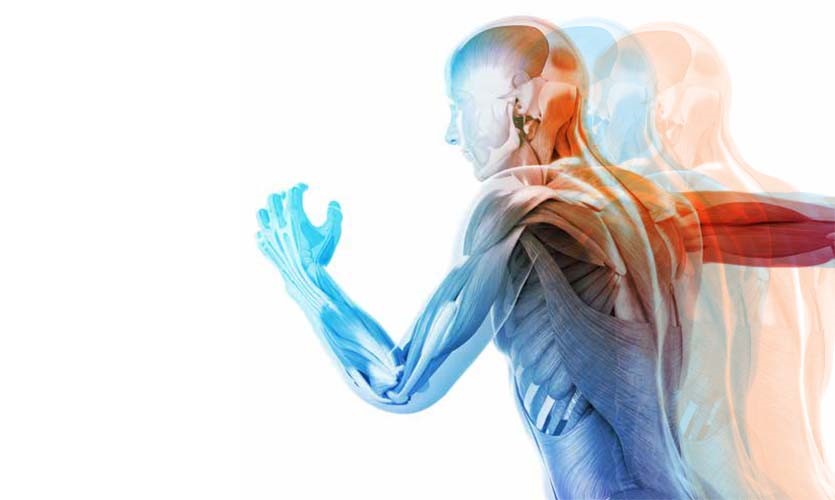 Senior Health Research Study: Any Amount of Exercise Will Lengthen Your Life