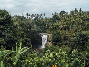 waterfall in a tropical forest representing UN CC:E-Learn free online climate change courses