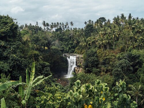 waterfall in a tropical forest representing UN CC:E-Learn free online climate change courses