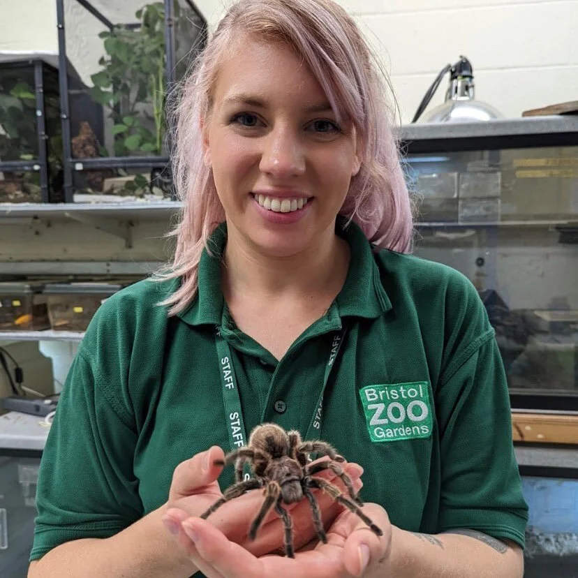 ☀️July life round up!☀️

Months swing by so quickly, so I want to take a minute to think about all the awesome stuff I get to do in them ❤️

As well as having lots of fun with animals while working at @bristolzoo and @wildplaceproject, I experienced 