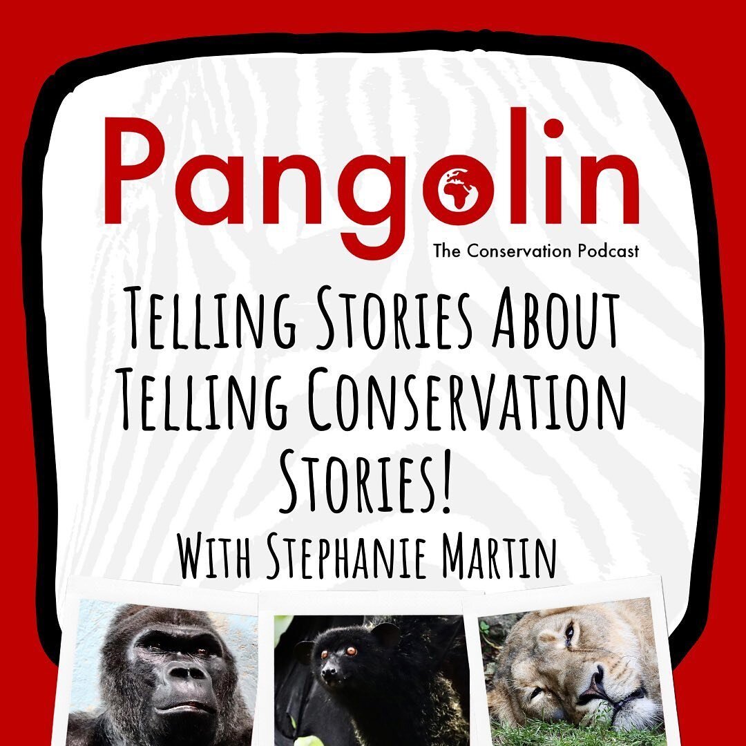 I recorded an episode of the conservation podcast @pangolinpodcast with @theonlyjackbaker!!

If you&rsquo;re interested in telling environmental stories, whether that&rsquo;s through social media, YouTube videos, or written work, want to get some adv