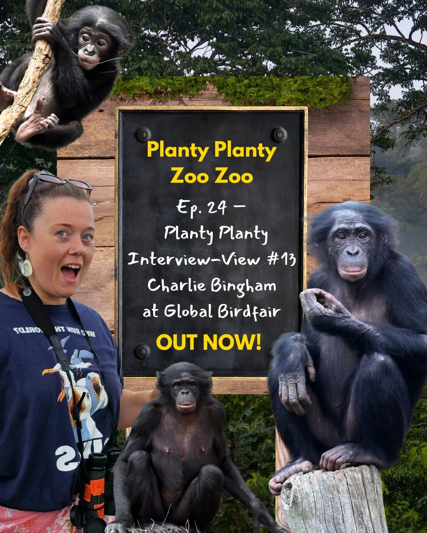 ✨Episode 24 out NOW!!🎙️

This week, hear @_charliebingham chat to @connorljd at @global_birdfair all about the chimpanzee's much better cousin, the bonobo!

Charlie has played one of the biggest roles in our podcast journey so far - as the organiser