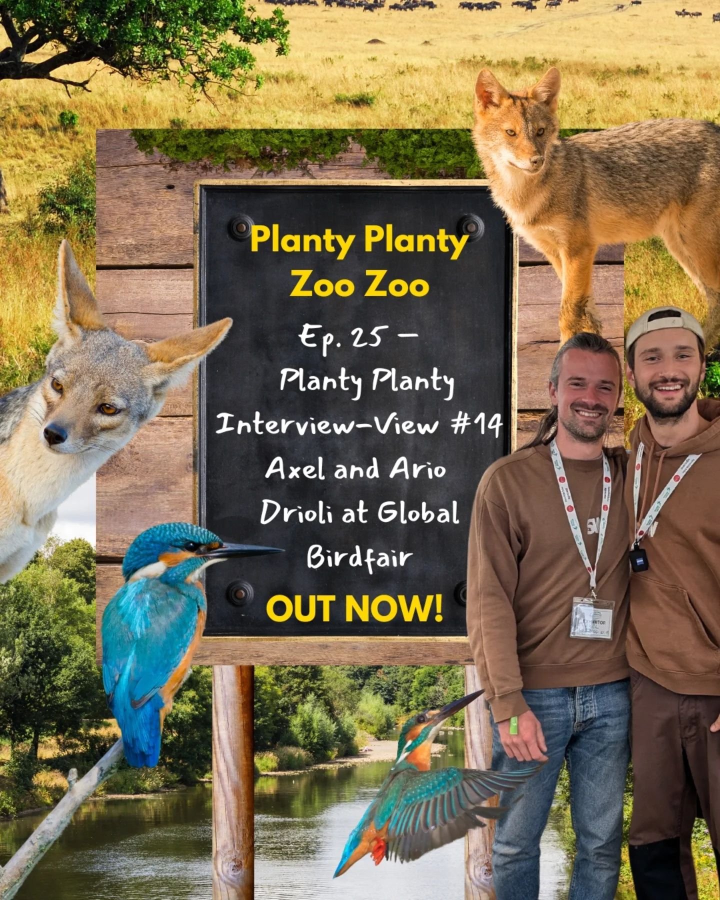 ✨Episode 25 out NOW!!🎙️

This week, @connorljd sits down with @axelwildsound and @aariopic from @soundingwild at @global_birdfair!

It was so so great to meet Axel and Ario - two of the nicest guys I've ever met! Sounding Wild is a really really exc