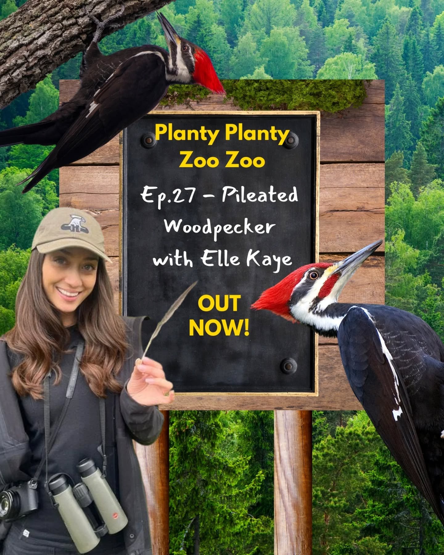 ✨Episode 27 out NOW!✨

For the final episode of Season 1 of Planty Planty Zoo Zoo, @stephinto.nature and @connorljd are joined by the AMAZING @ellekayetaxidermy for a long, winding discussion of the ups and downs of being a taxidermist on the interne