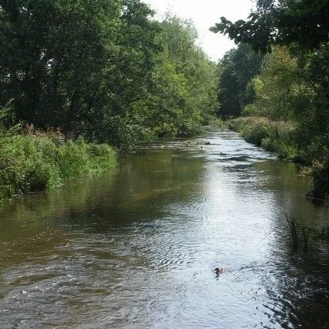 IS THERE TIME TO SAVE THE RIVER FROME?