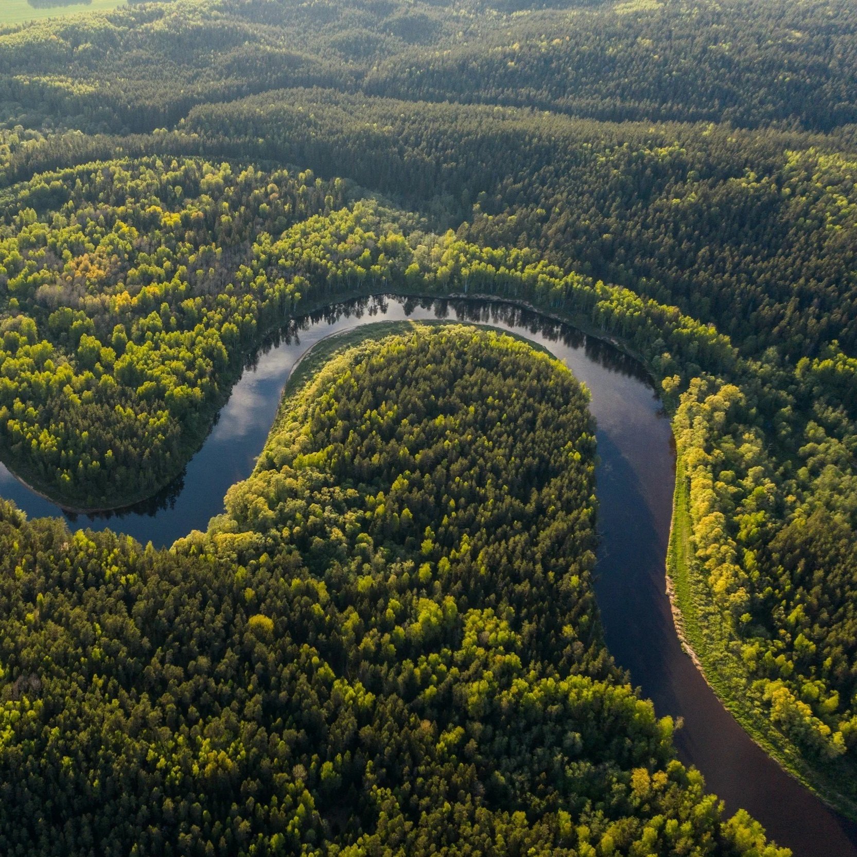 Deforestation in the Amazon is falling. So why are experts still worried?