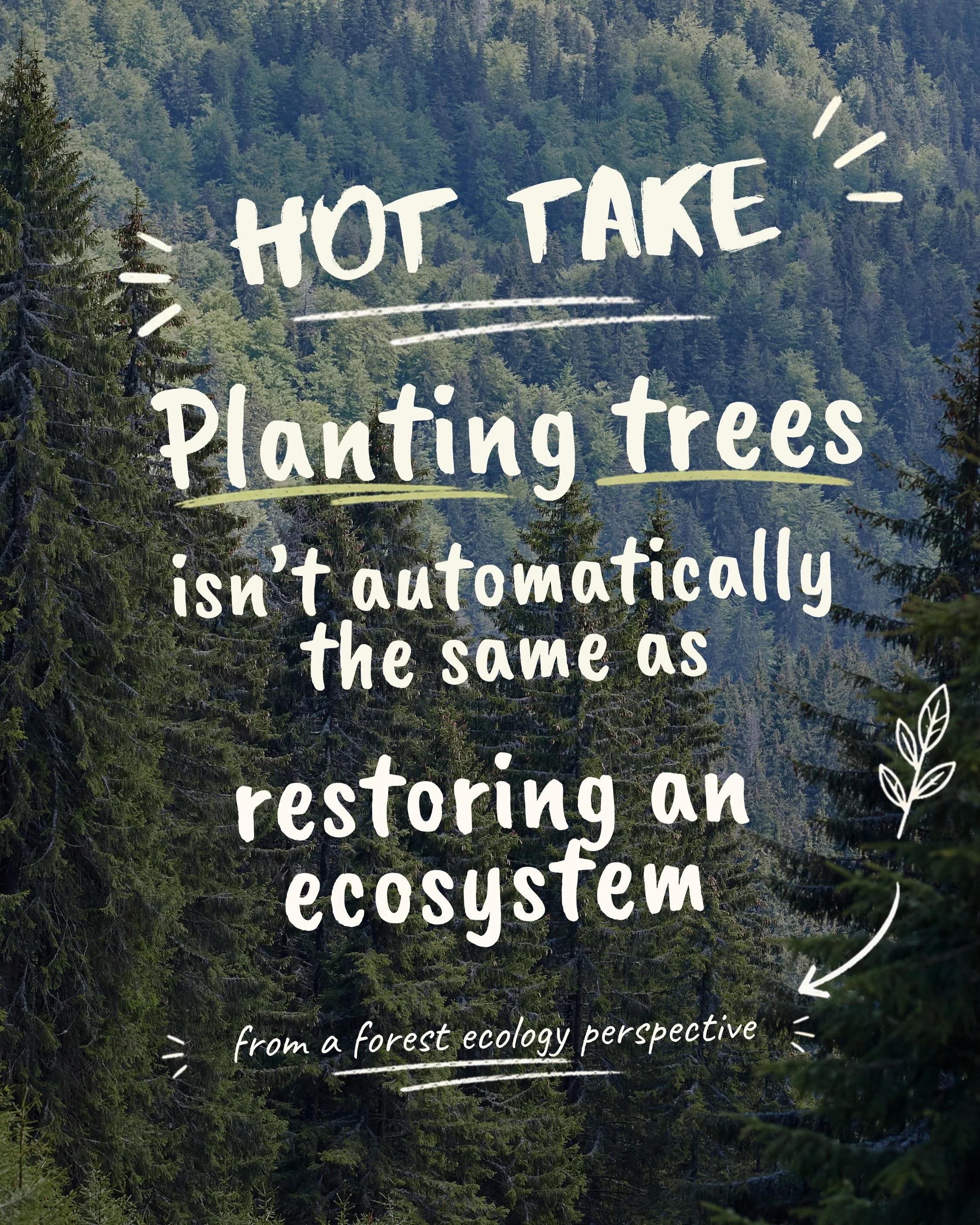 Apparently this is a hotter take than I realised 😂

I posted on Threads that planting trees isn&rsquo;t automatically the same thing as restoring an ecosystem, and quite a few people replied with some variation of &ldquo;well, you have to start some