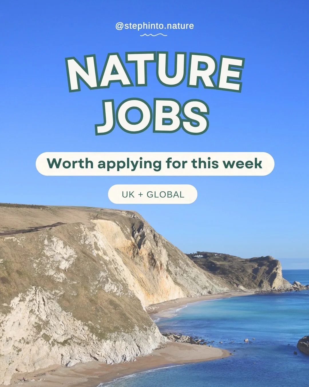 Yes, &ldquo;Gopher Tortoise Program Lead&rdquo; is a real job title.

Seven nature, wildlife and conservation jobs in the UK, US and Australia, including animal care, ecology, teaching and research.

What kind of roles should I find next&mdash;and wh