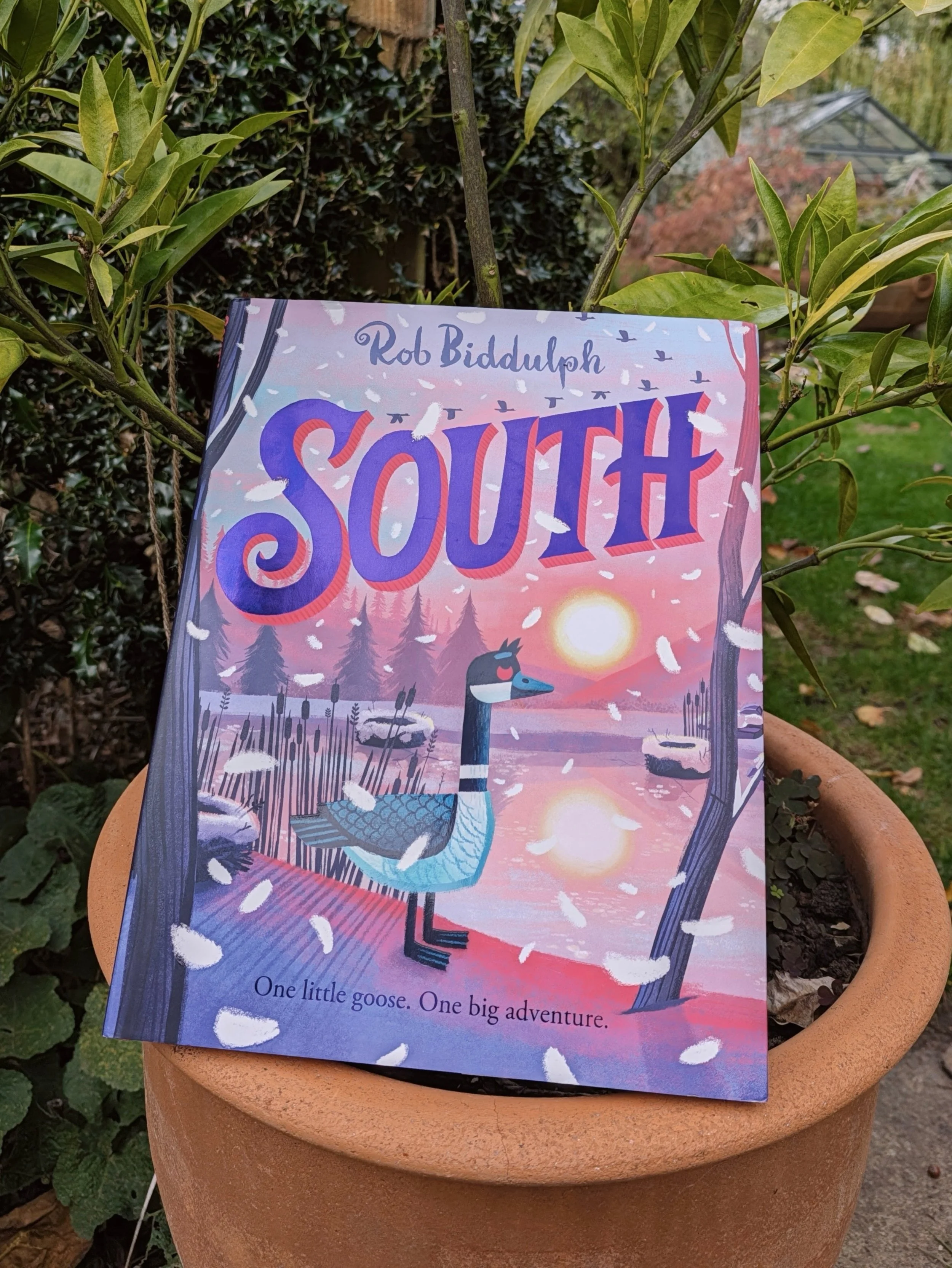 Ad | Gifted by @harpercollinsch

Autumn is one of those seasons that makes the natural world feel especially full of stories.

Birds are leaving, others are arriving, the landscape is changing, and suddenly there are lots of questions about where ani