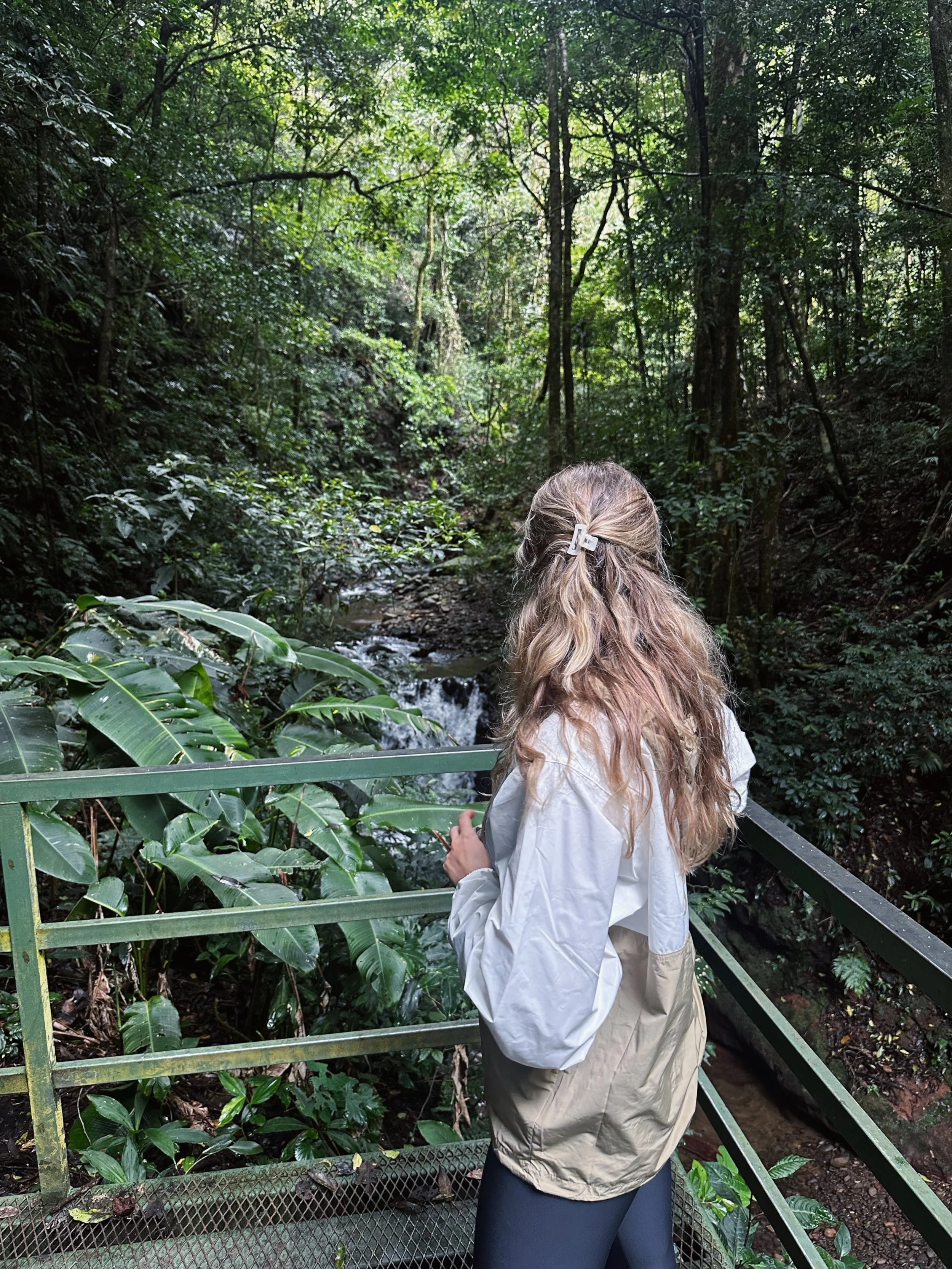 Woman standing in a lush forest near a waterfall, representing nature-led strategy, clarity, and direction.