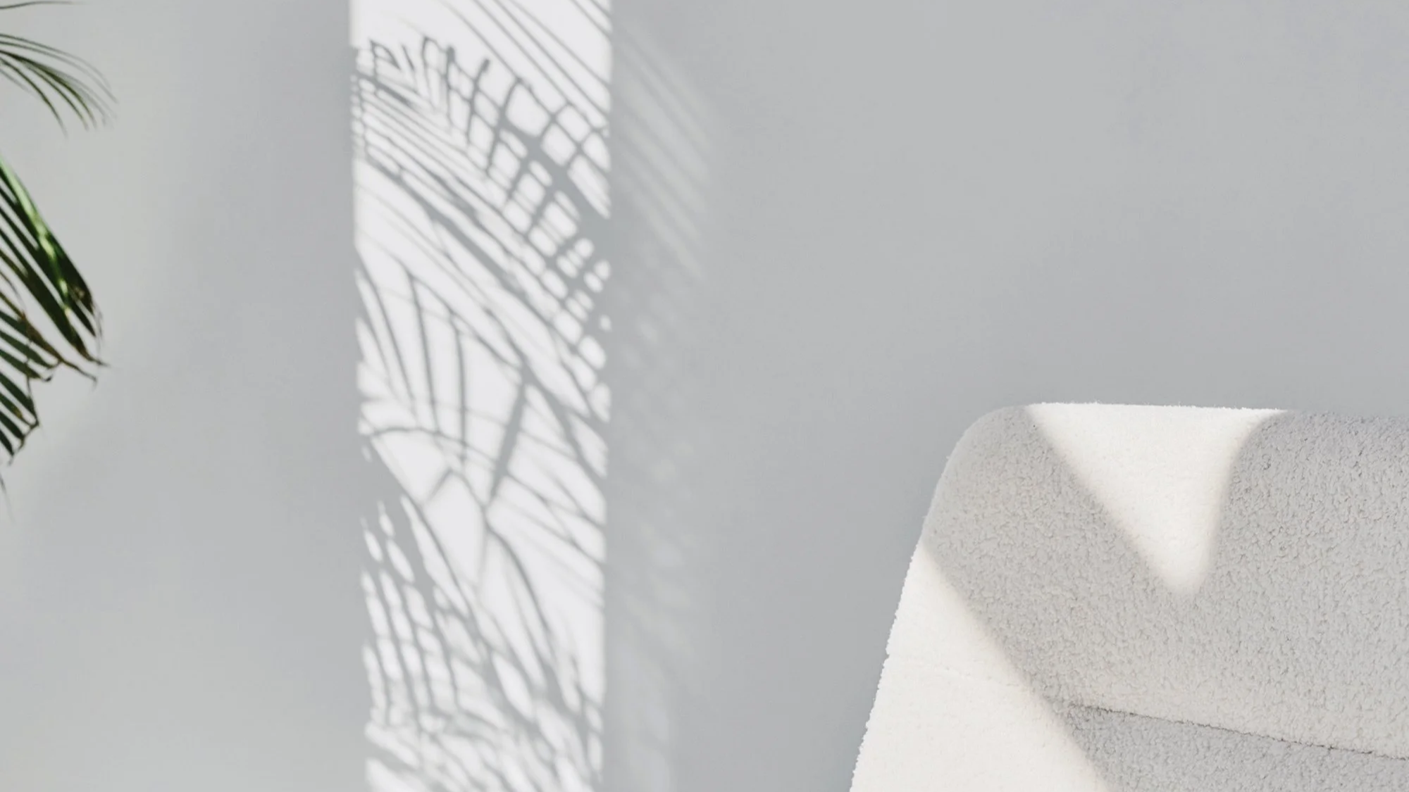 Soft sunlight and plant shadows on a neutral textured wall, creating a calm backdrop for the Eco Brand Clarity Power Hour page.