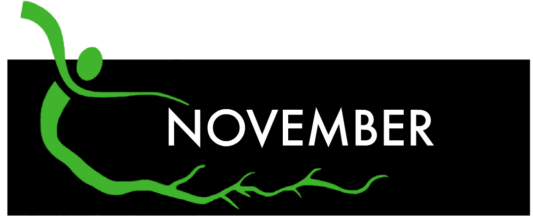 NOV.png