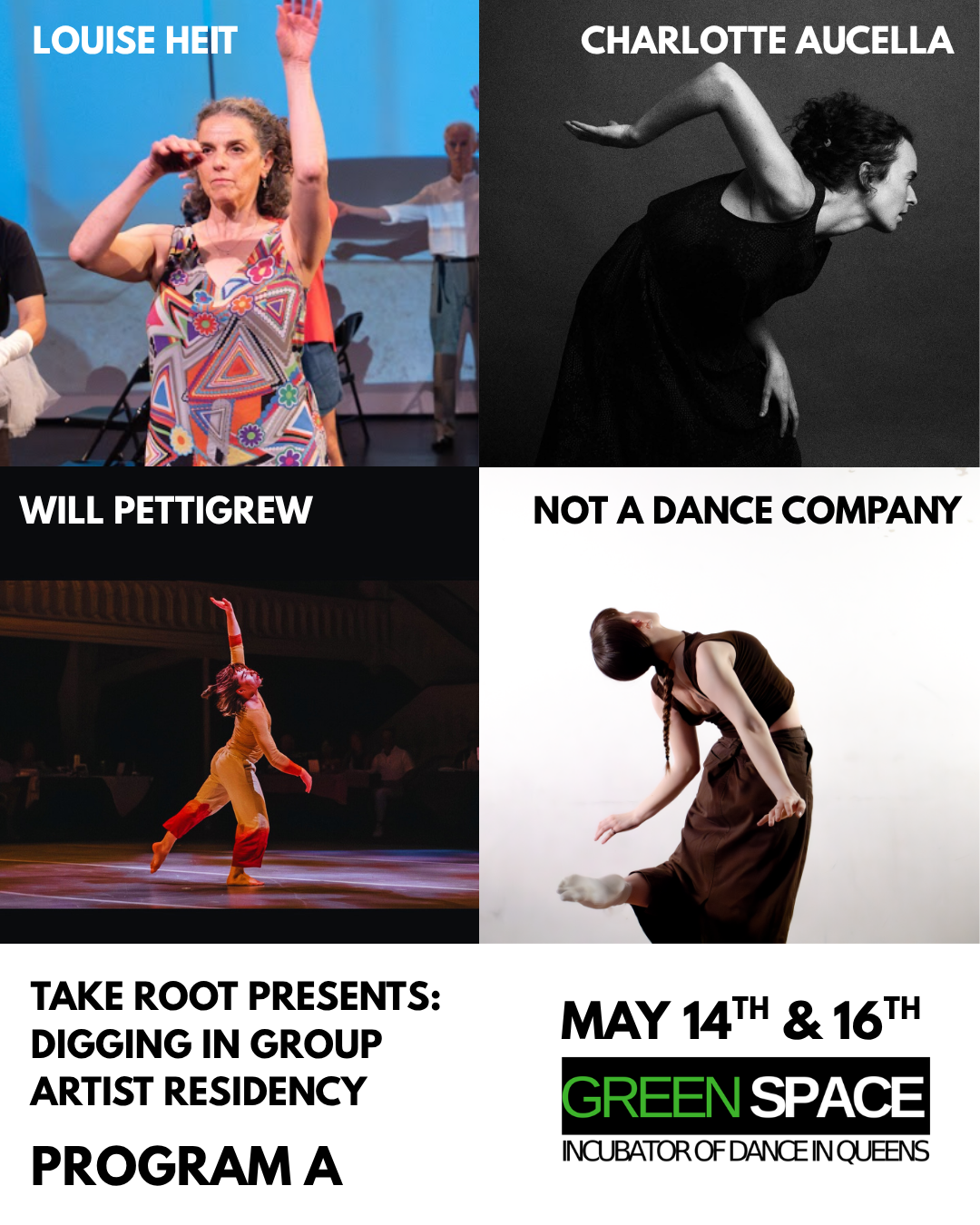 Take Root: DIG Performances (Program A)