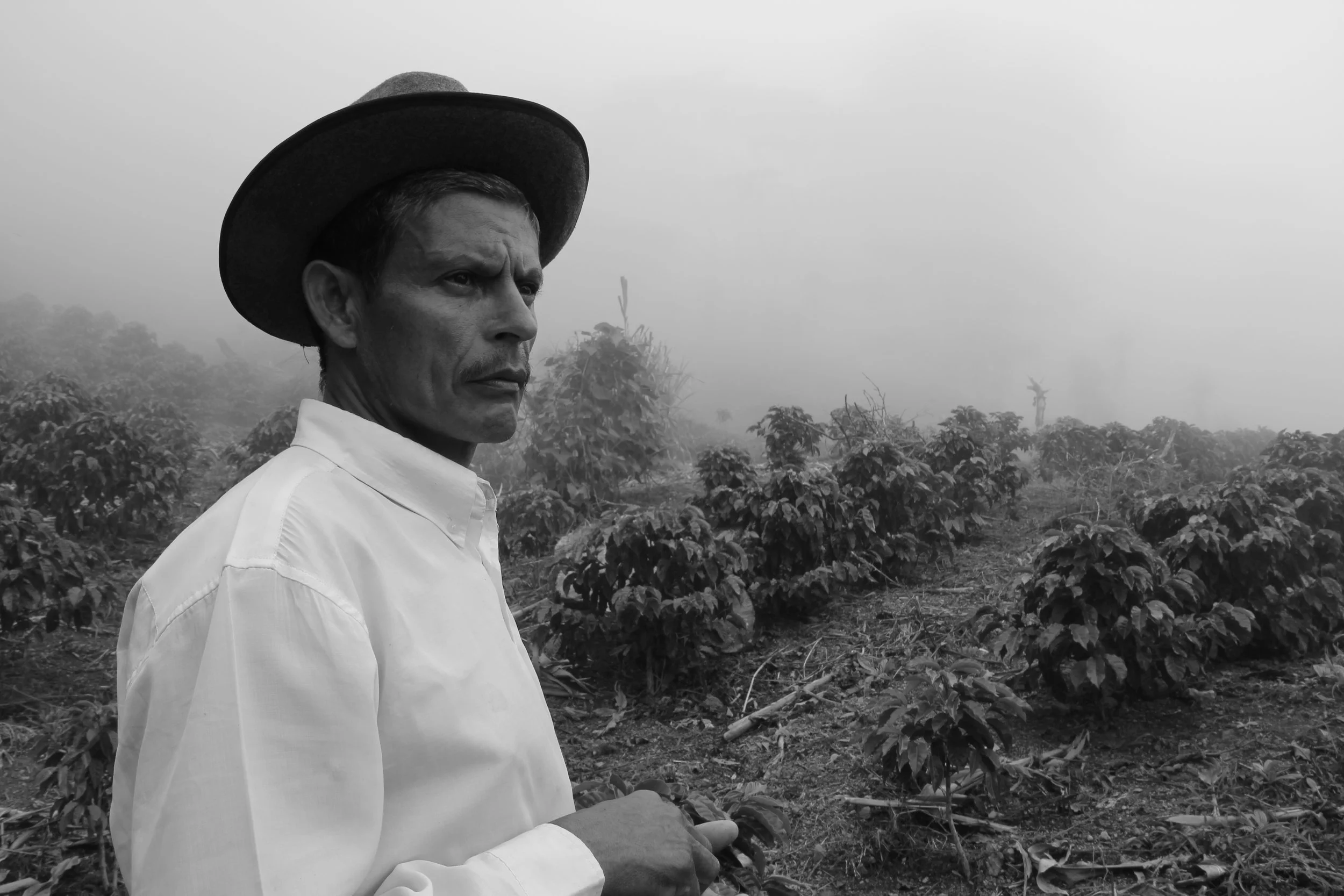 The best photo I ever shot