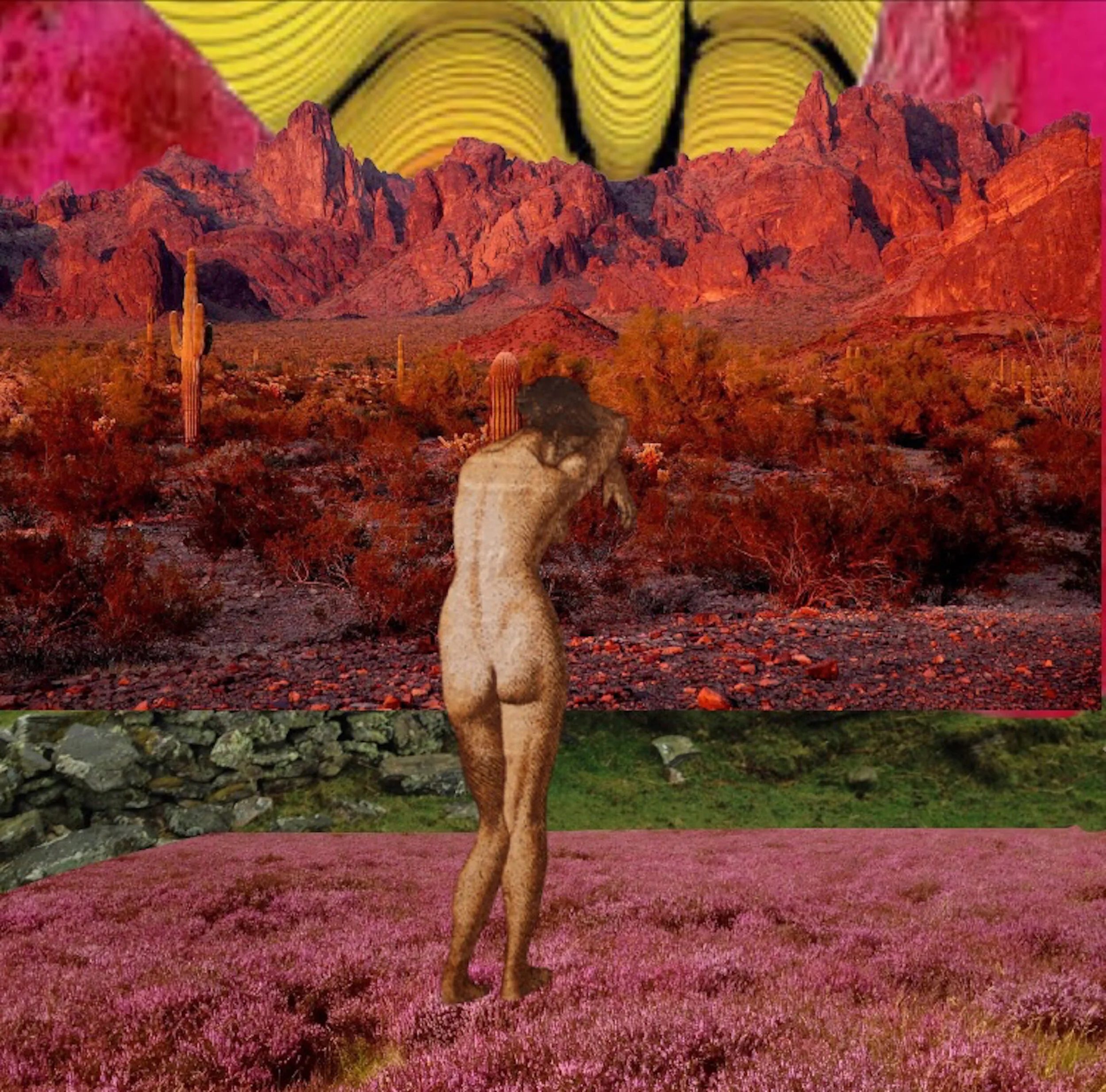 Left alone to Wander 