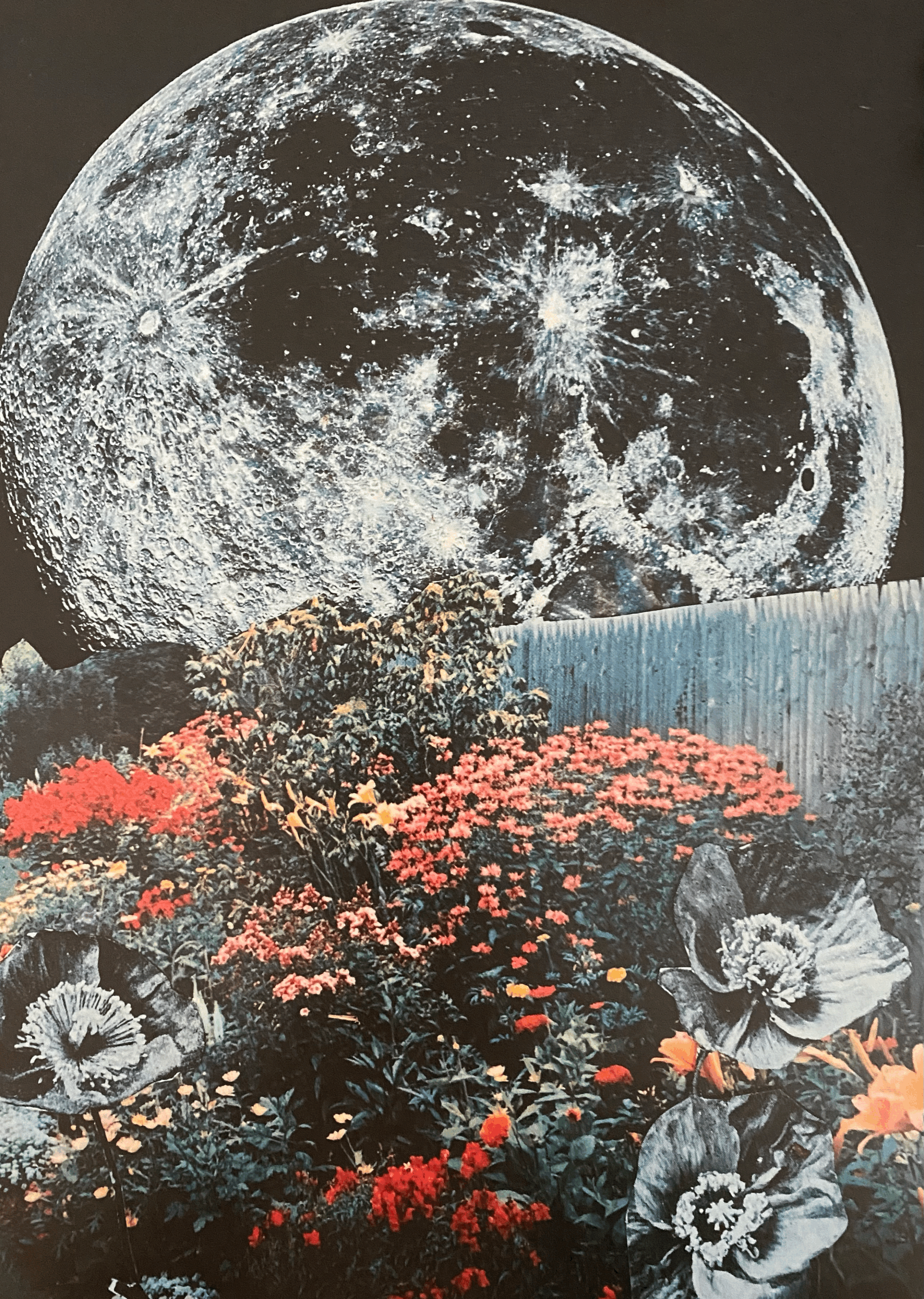 Garden by the Moon