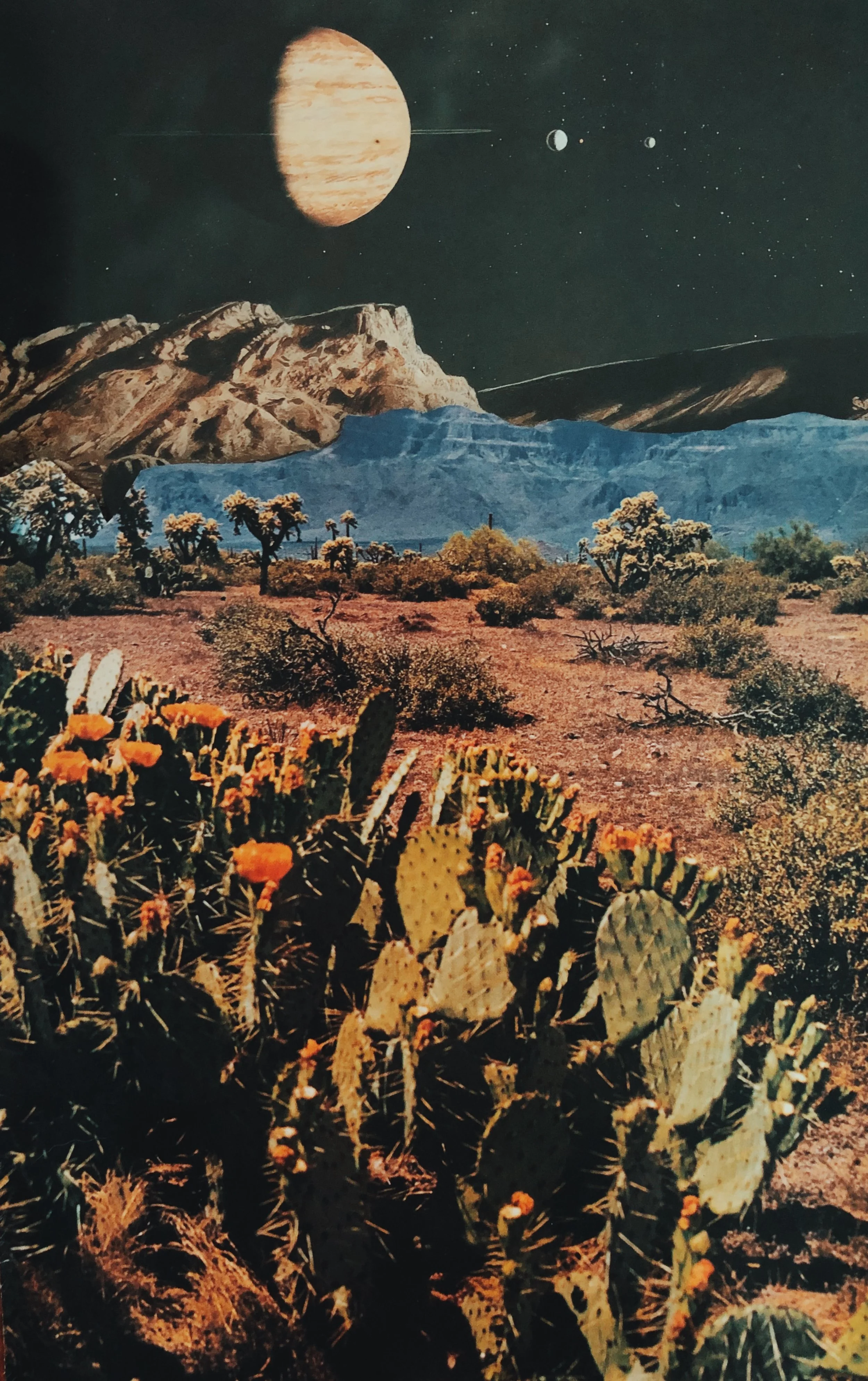 Sacred Desert Series- Cosmic