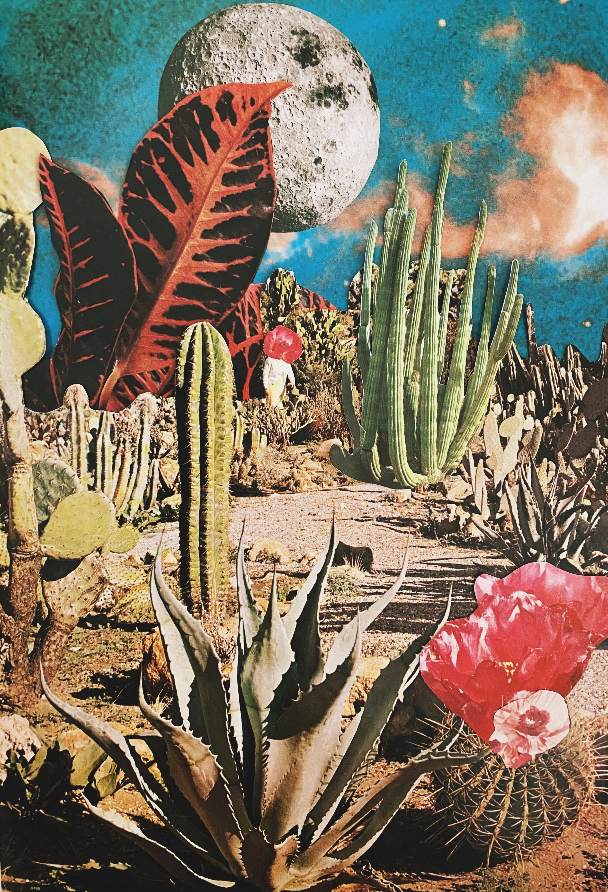 Finding me in the Sacred Desert