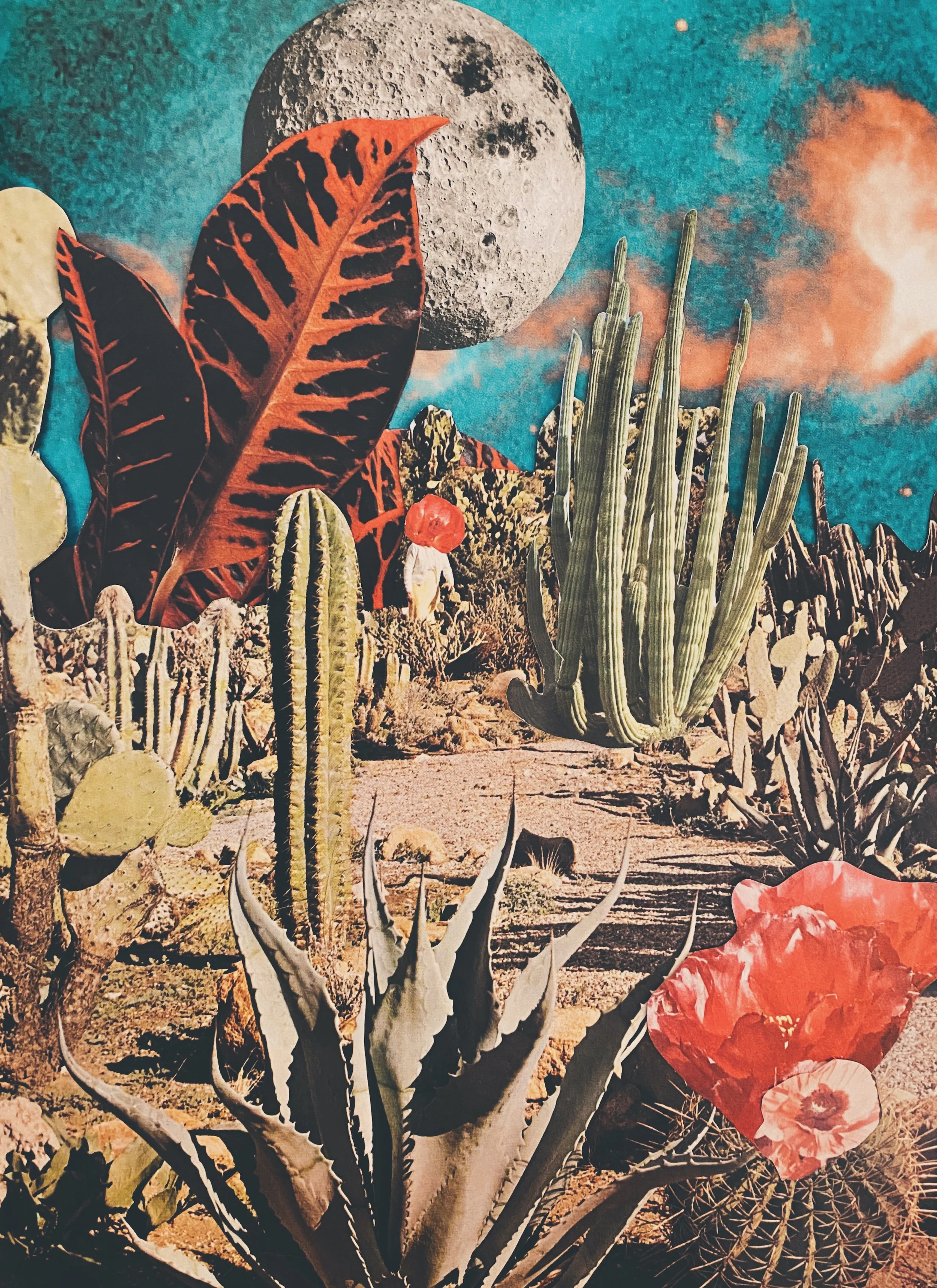 Finding me in the Sacred Desert