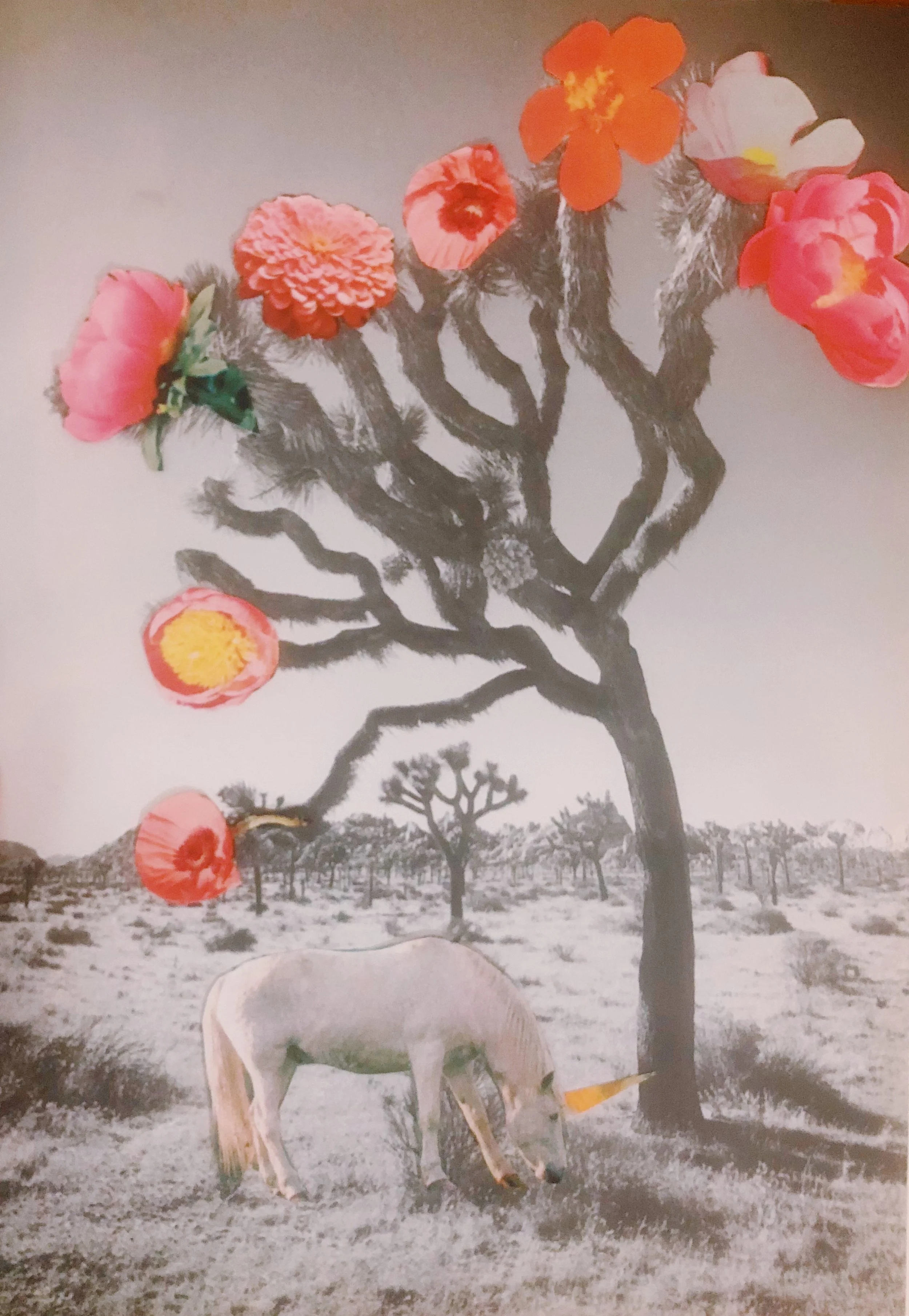 You'll find others like you