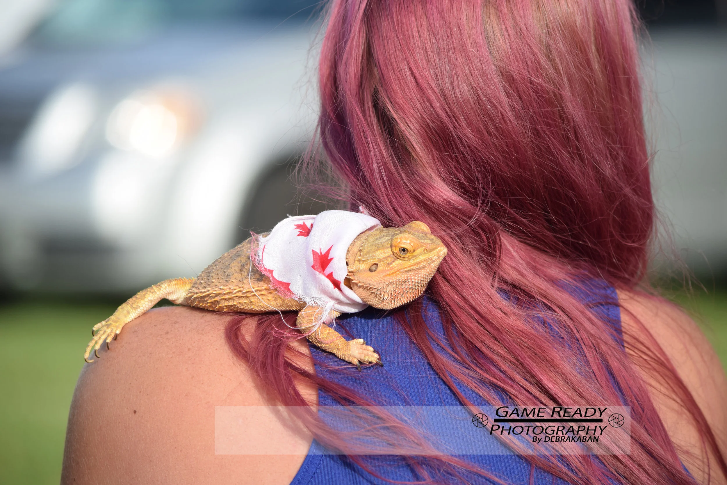 DSC_0227.jpg