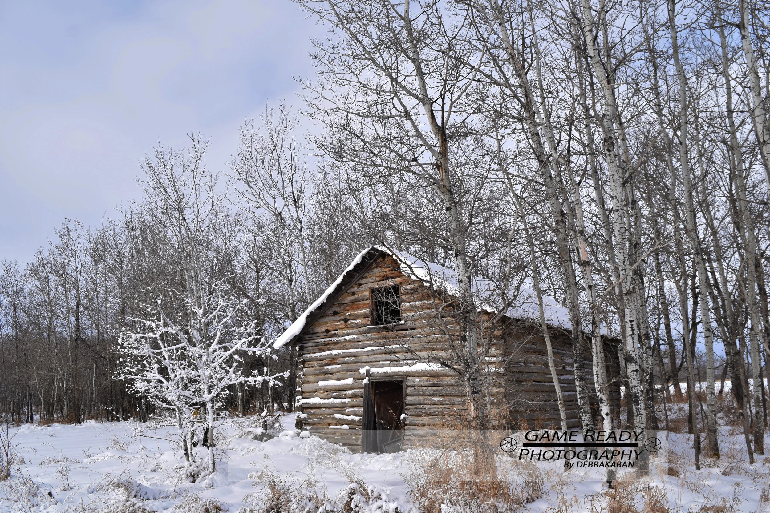 DSC_0129.jpg