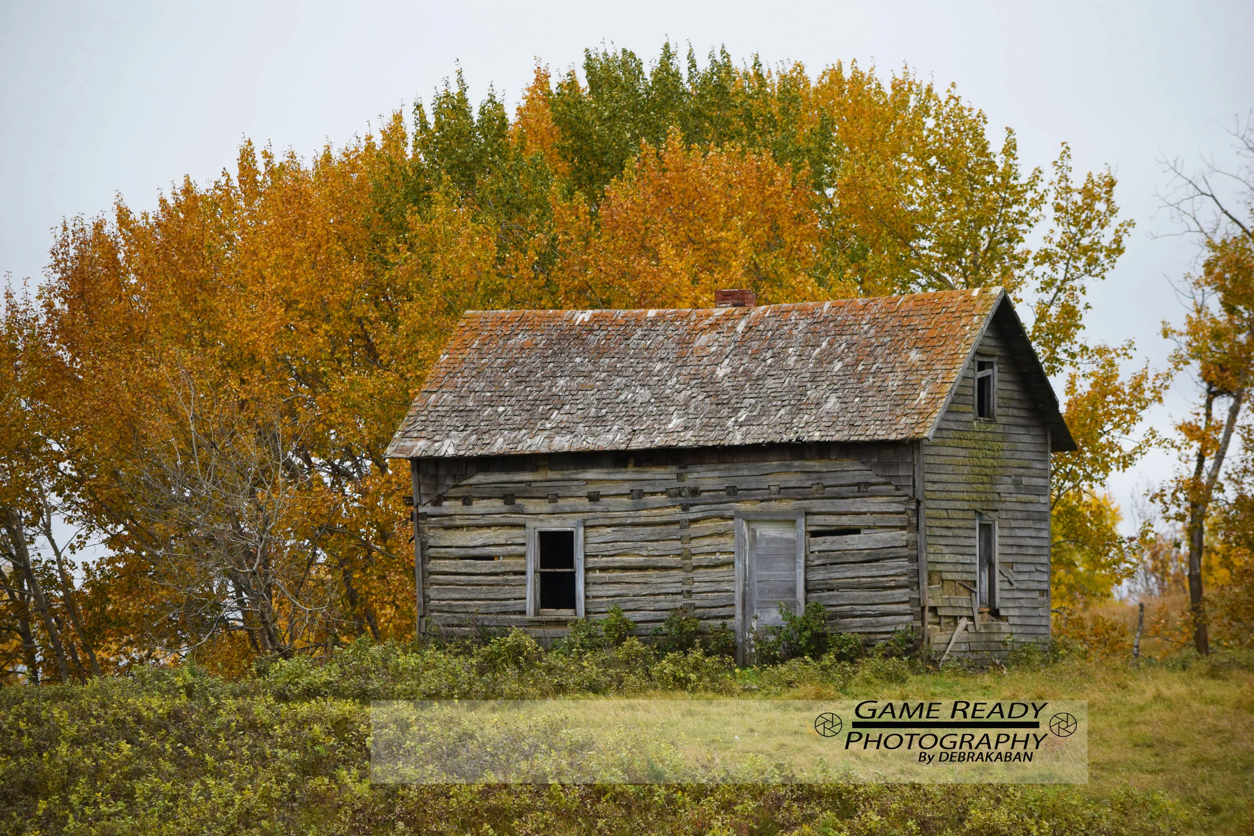 DSC_0190a.jpg